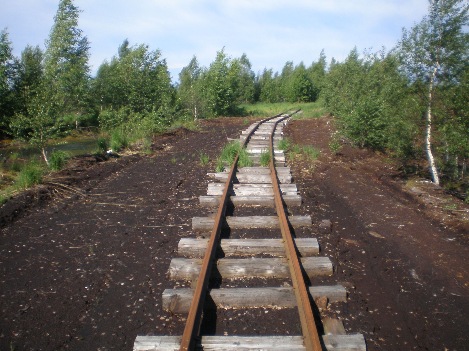 Узкоколейная железная дорога Радовицкого  транспортного управления — фотографии, сделанные в 2009 году (часть 39)