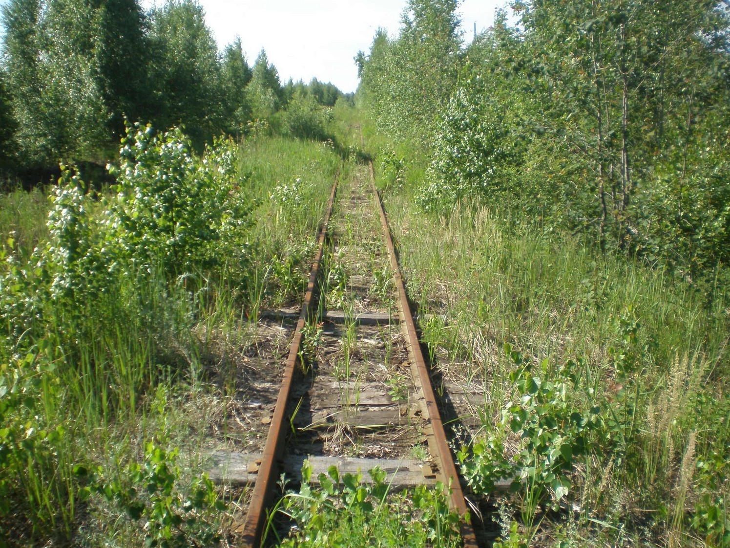 Узкоколейная железная дорога Радовицкого  транспортного управления — фотографии, сделанные в 2009 году (часть 40)