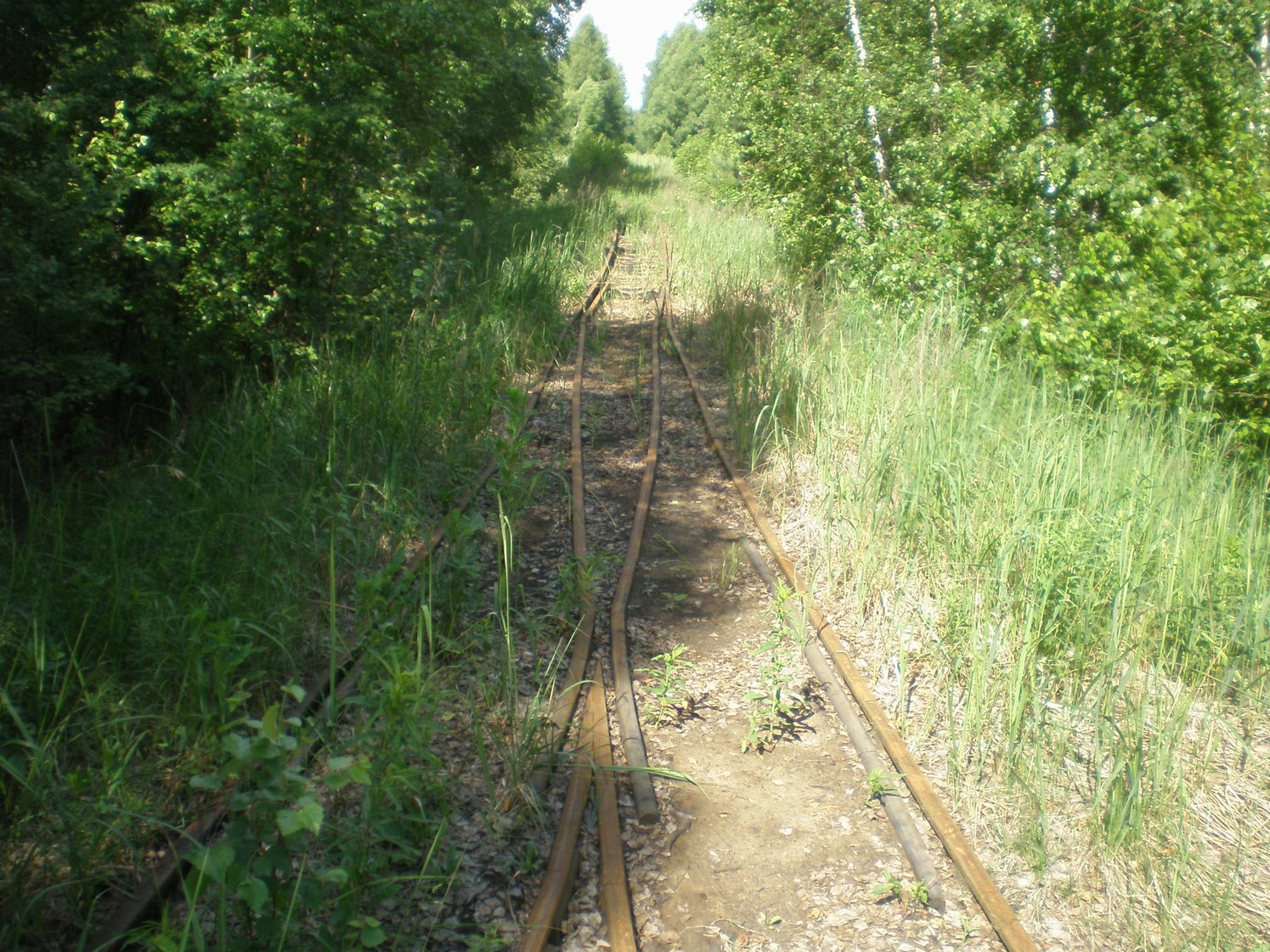 Узкоколейная железная дорога Радовицкого  транспортного управления — фотографии, сделанные в 2009 году (часть 41)