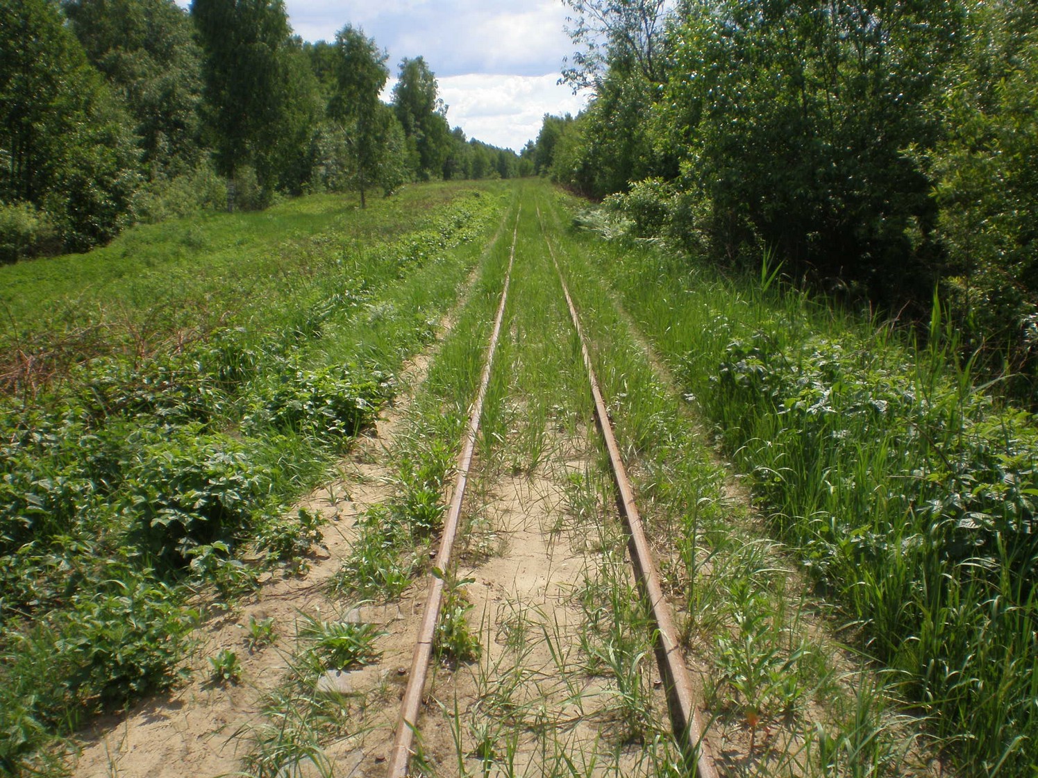 Узкоколейная железная дорога Радовицкого  транспортного управления — фотографии, сделанные в 2009 году (часть 5)