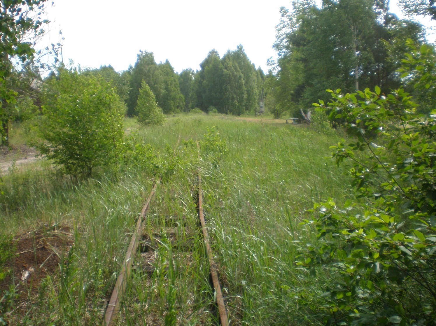 Узкоколейная железная дорога Радовицкого  транспортного управления — фотографии, сделанные в 2009 году (часть 42)