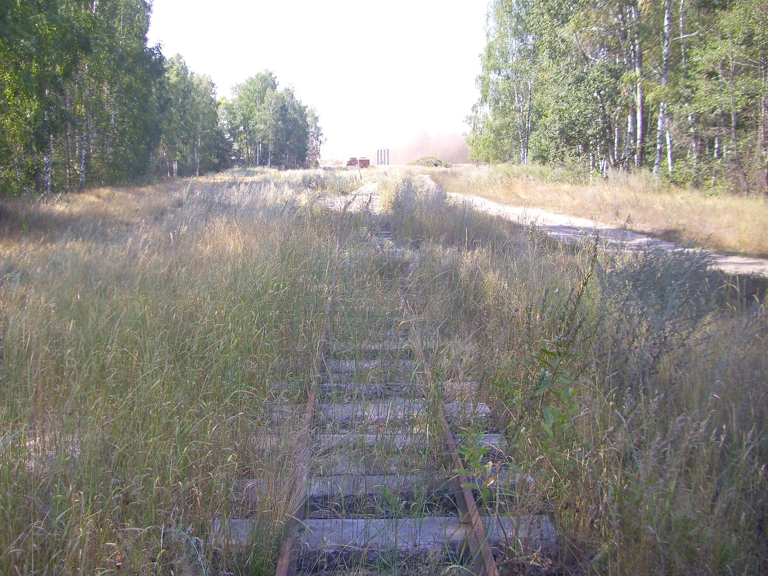 Узкоколейная железная дорога Солотчинского торфопредприятия — фотографии, сделанные в 2011 году (часть 1)