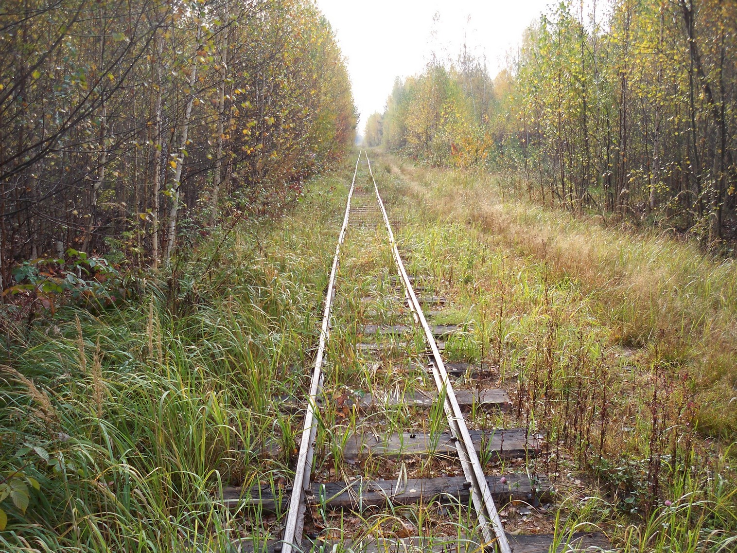 Узкоколейная железная дорога Солотчинского торфопредприятия — фотографии, сделанные в 2012 году (часть 3)