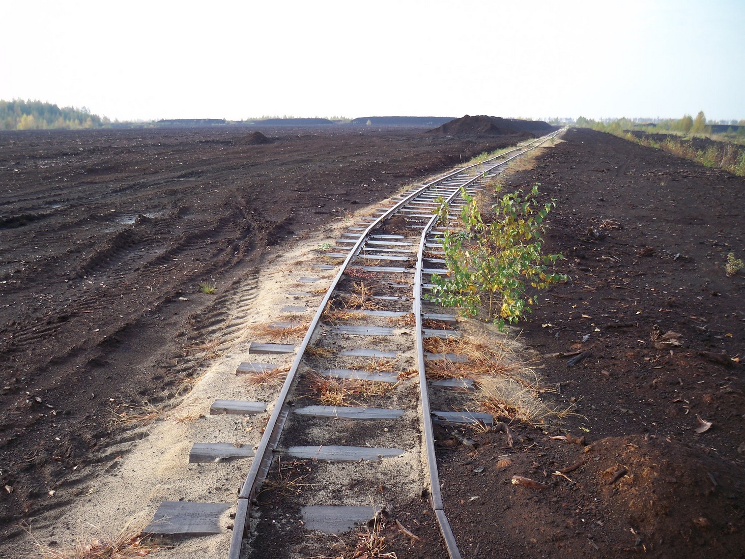 Узкоколейная железная дорога Солотчинского торфопредприятия — фотографии, сделанные в 2012 году (часть 4)