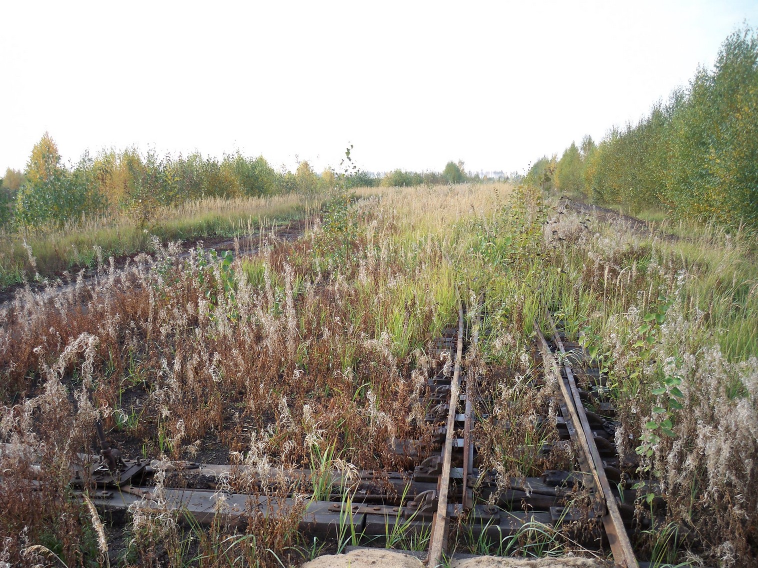 Узкоколейная железная дорога Солотчинского торфопредприятия — фотографии, сделанные в 2012 году (часть 5)