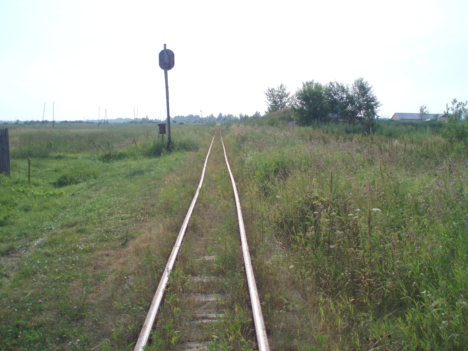 Рязанско-Владимирская узкоколейная железная дорога - фотографии, сделанные в 2006 году (часть 6)