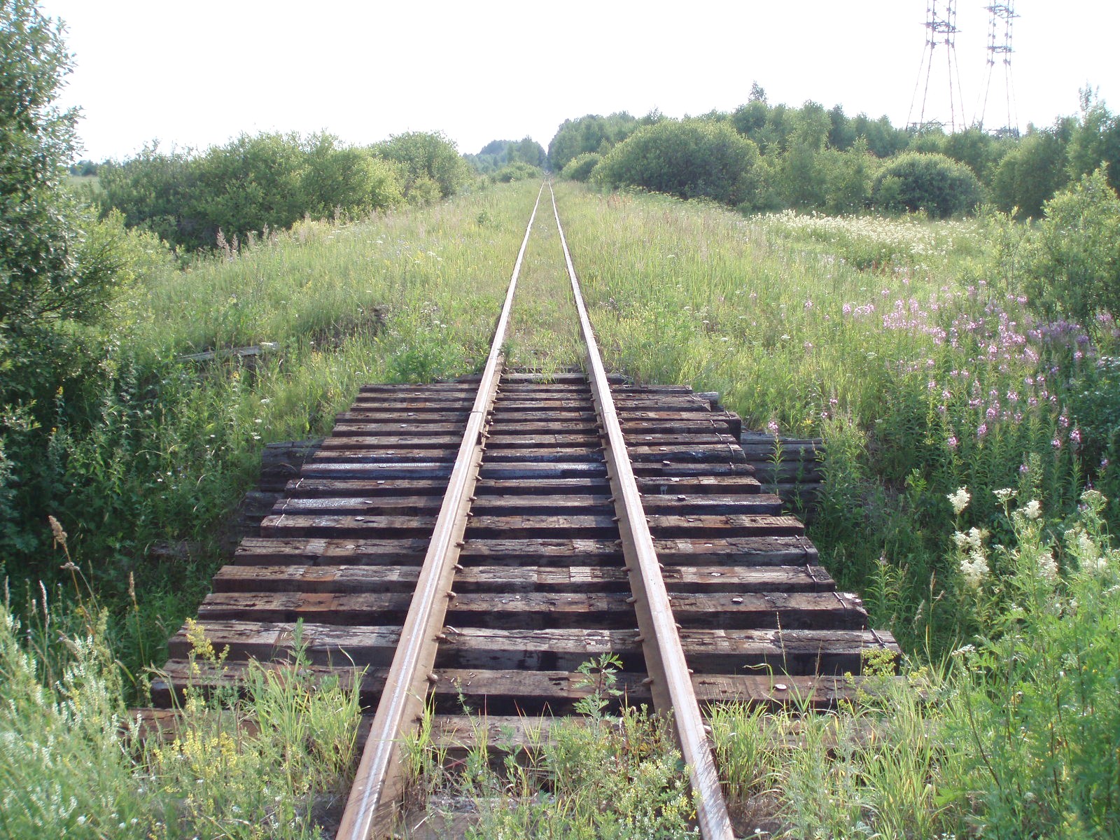 Рязанско-Владимирская узкоколейная железная дорога - фотографии, сделанные в 2006 году (часть 7)