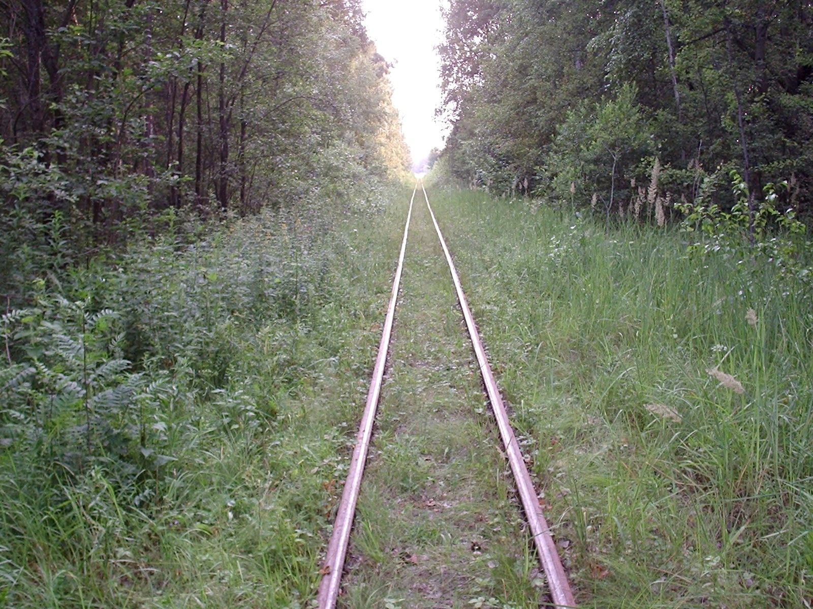 Рязанско-Владимирская узкоколейная железная дорога - фотографии, сделанные в 2006 году (часть 9)
