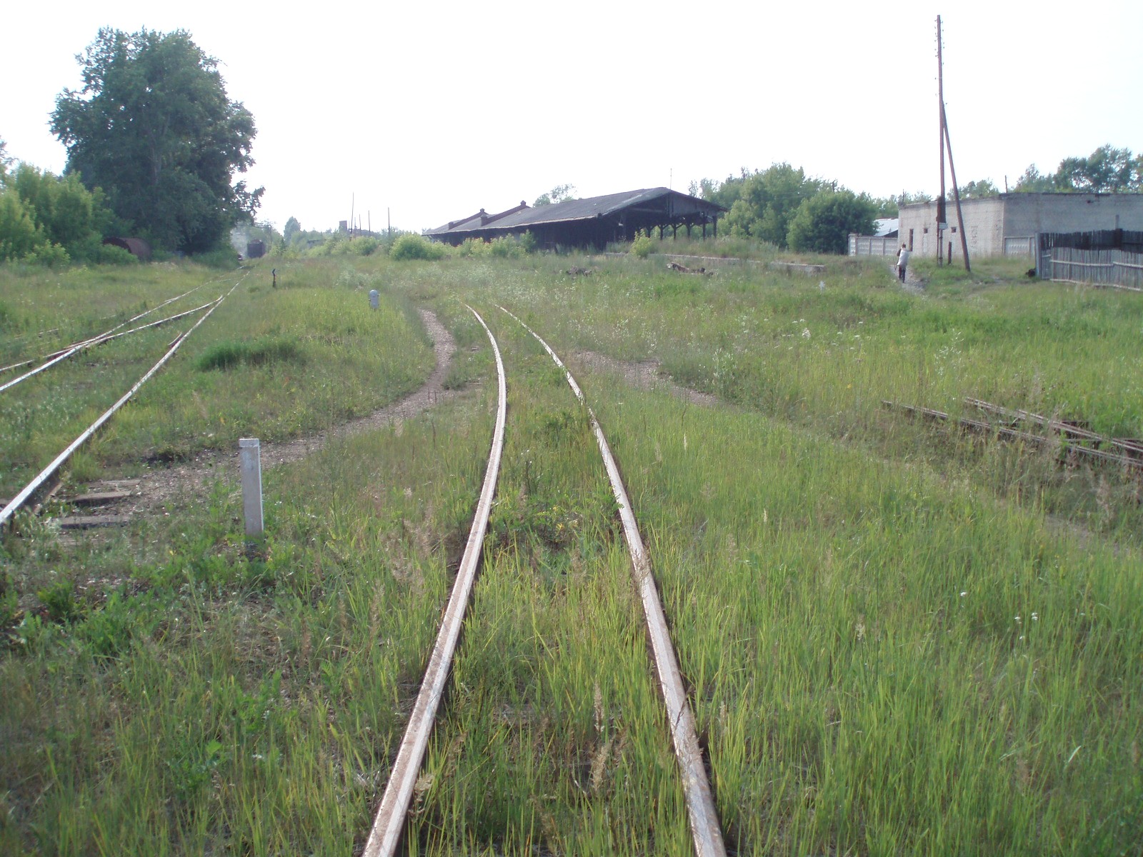Рязанско-Владимирская узкоколейная железная дорога - фотографии, сделанные в 2006 году (часть 5)