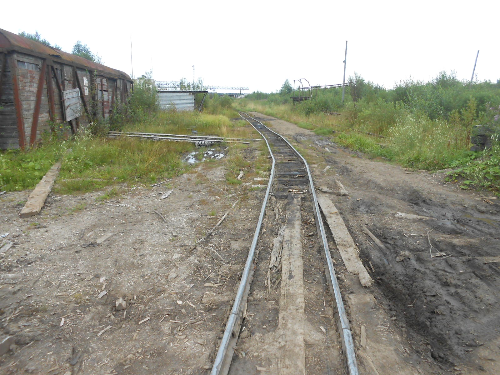 Лойгинская узкоколейная железная дорога
  —  фотографии, сделанные в 2017 году (часть 6)