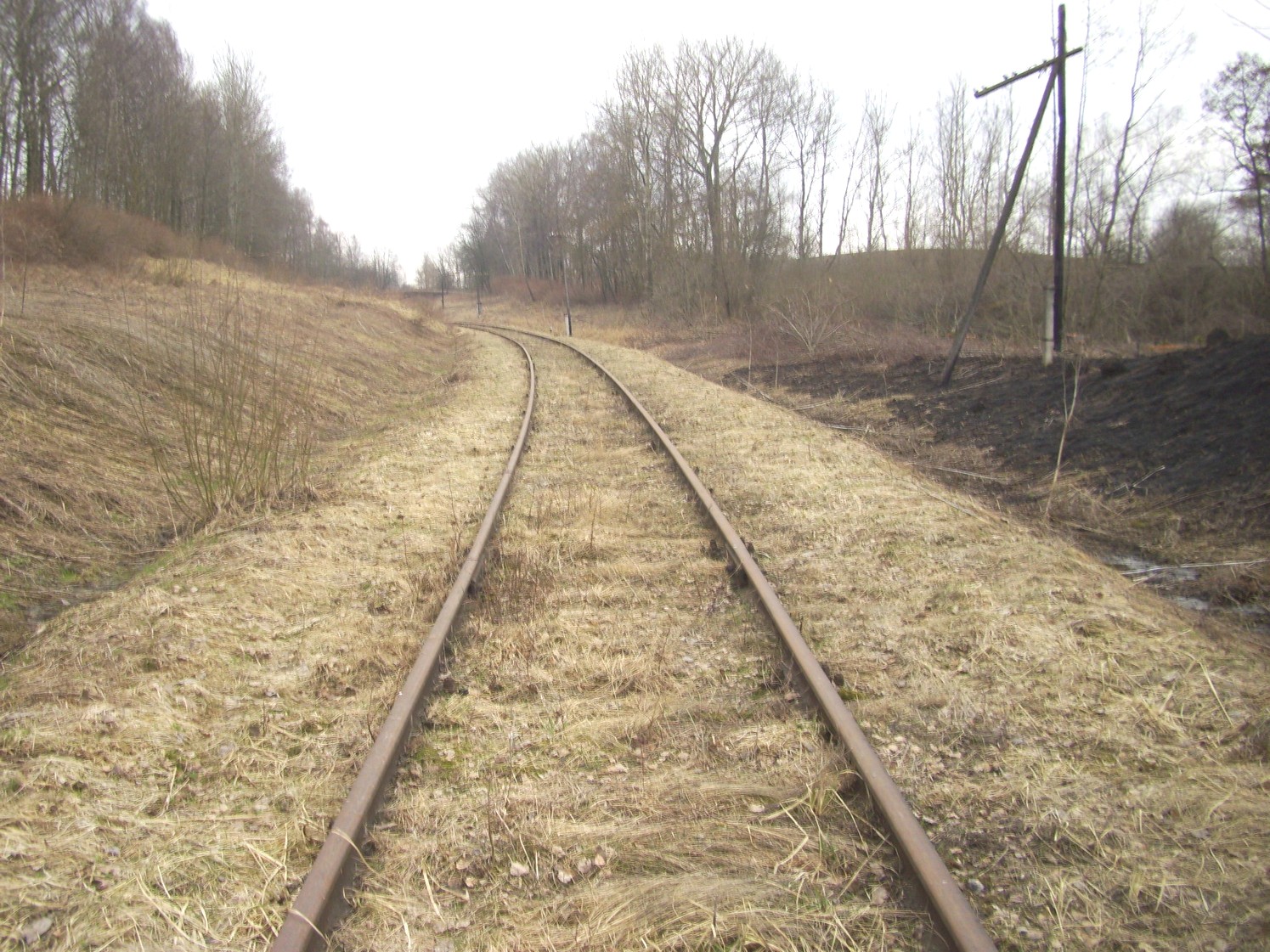 Железнодорожная линия Нестеров — Краснолесье
  —  фотографии, сделанные в 2011 году (часть 5)