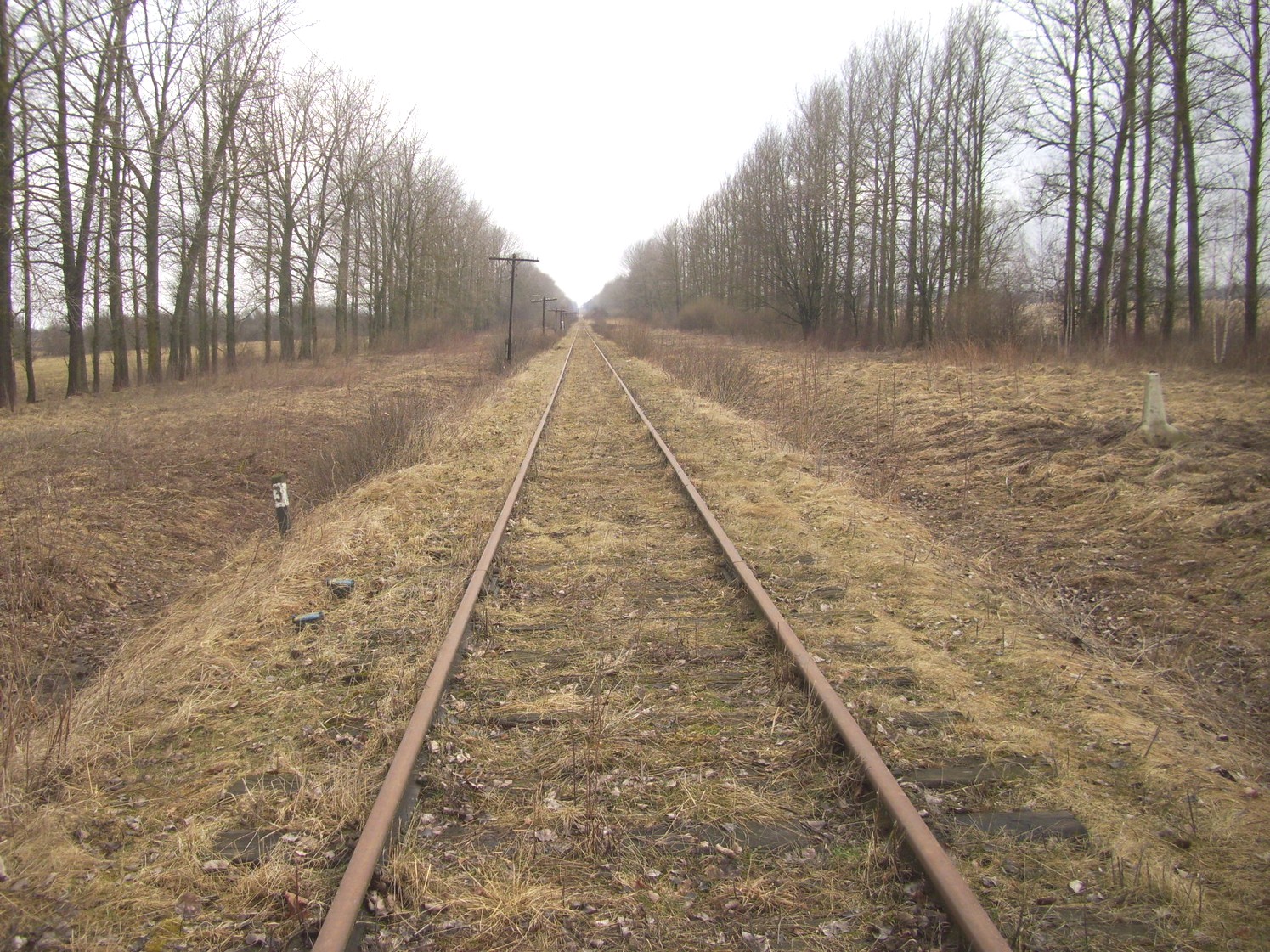 Железнодорожная линия Нестеров — Краснолесье
  —  фотографии, сделанные в 2011 году (часть 3)