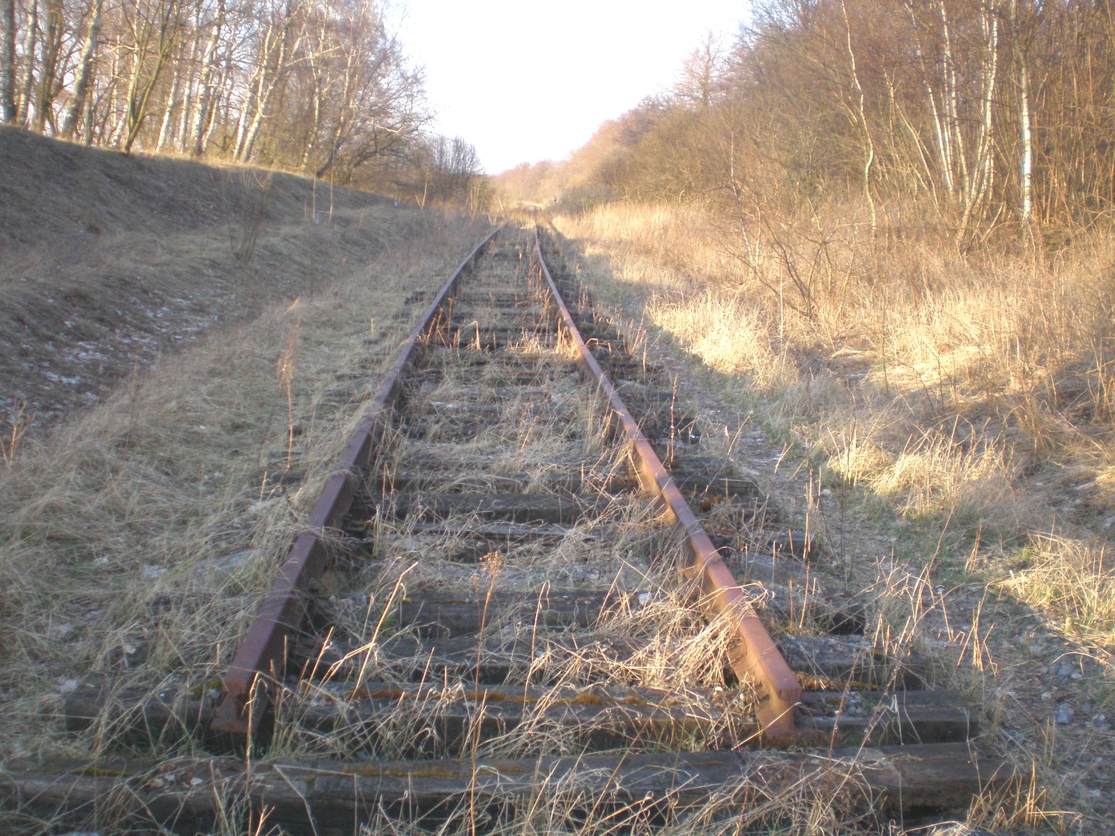 Железнодорожная линия Светлогорск — Приморск
  —  фотографии, сделанные в 2008 году (часть 4)