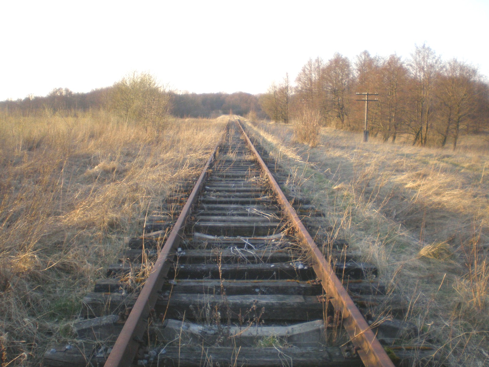Железнодорожная линия Светлогорск — Приморск
  —  фотографии, сделанные в 2008 году (часть 5)