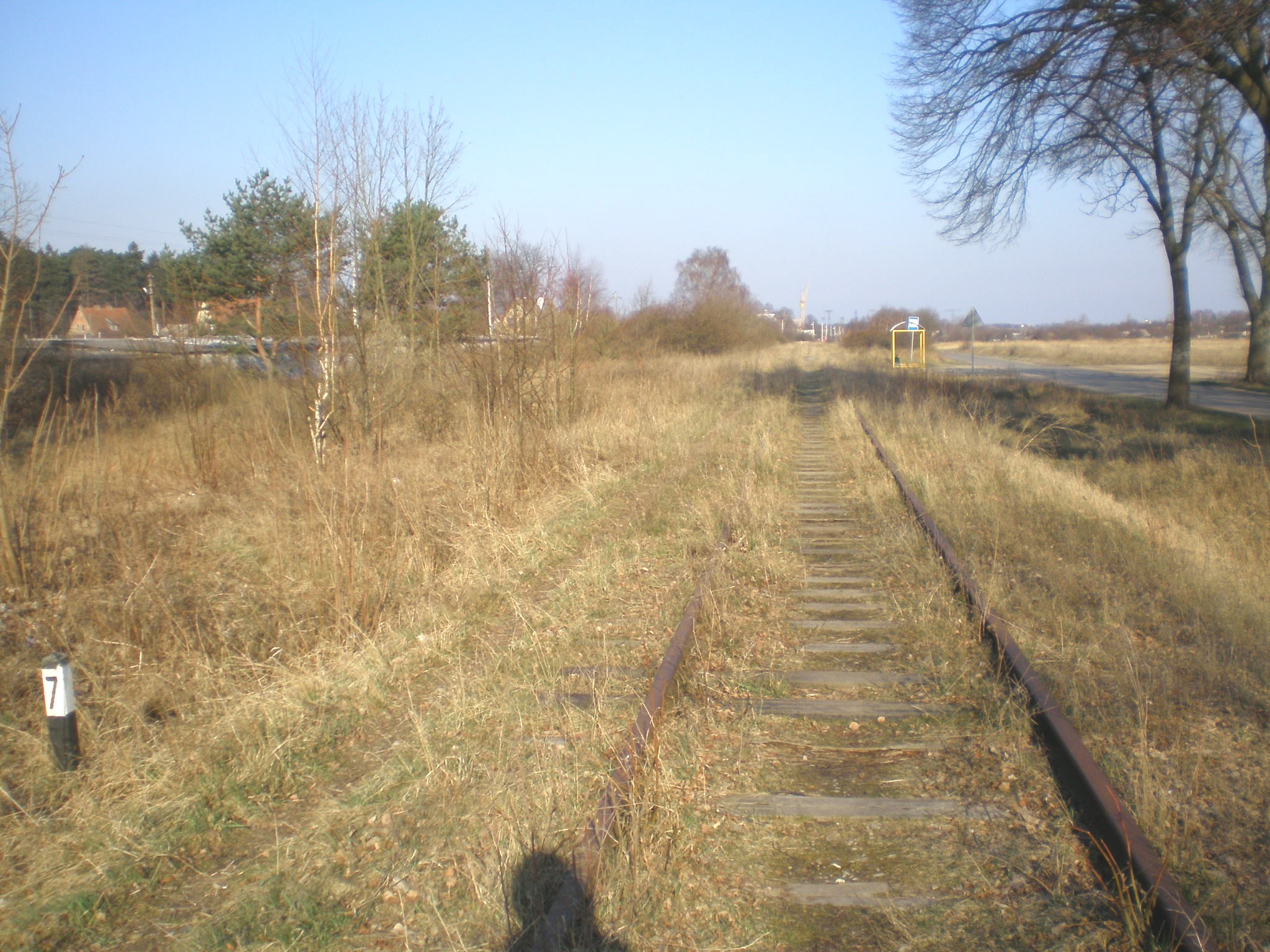 Железнодорожная линия Светлогорск — Приморск
  —  фотографии, сделанные в 2008 году (часть 8)