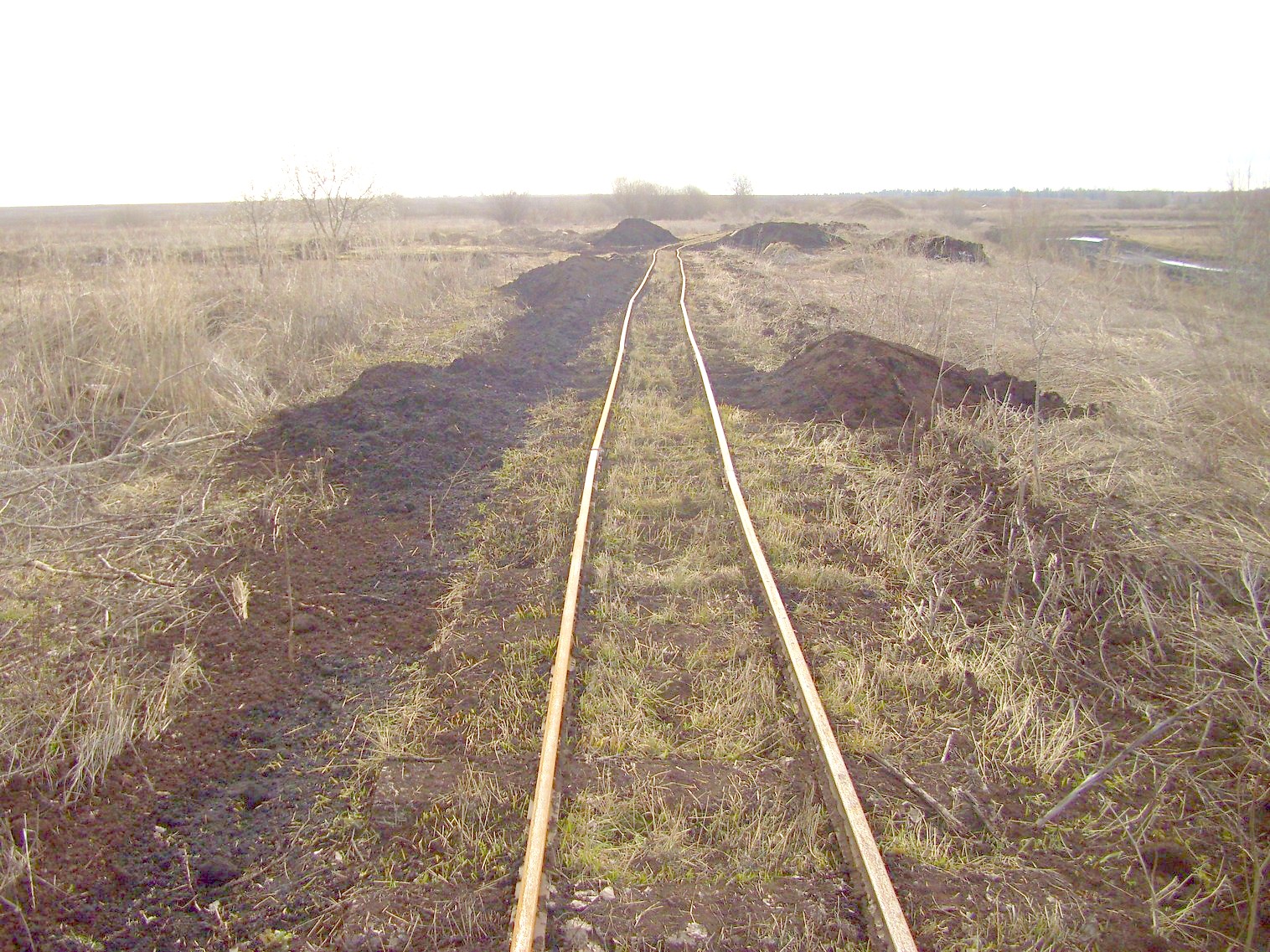 Узкоколейная  железная дорога Ронгинского торфопредприятия   —  фотографии, сделанные в 2011 году (часть 6)