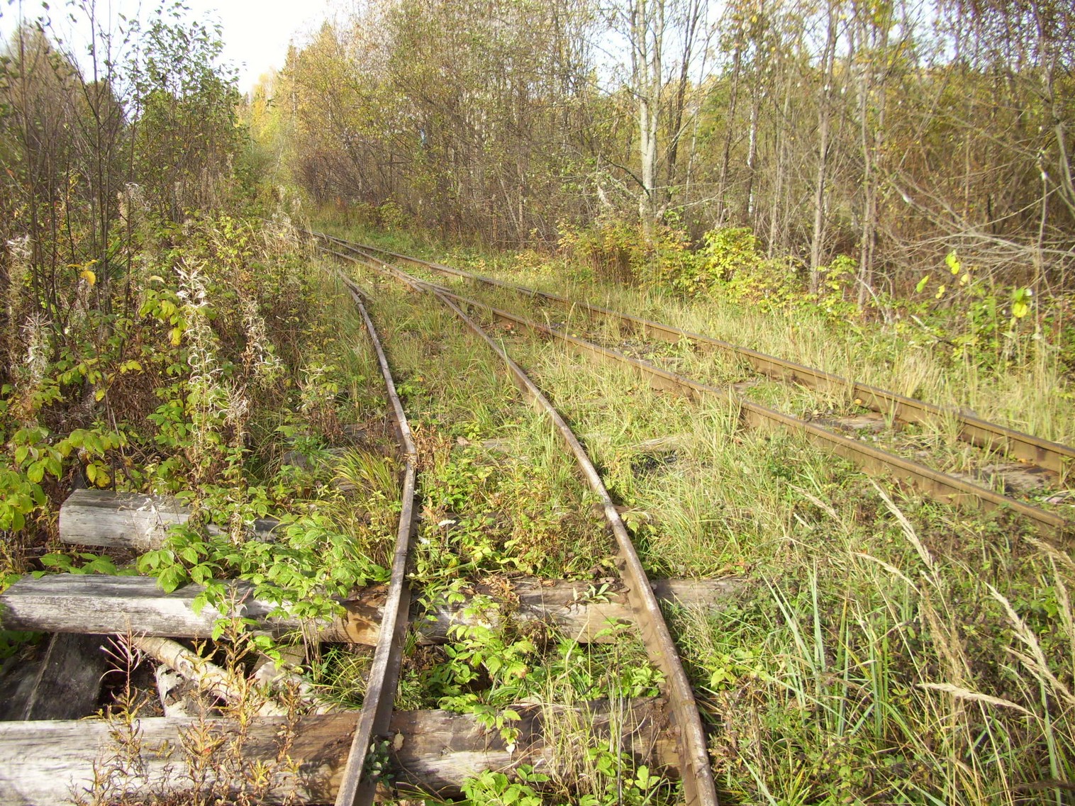 Семигородняя узкоколейная железная дорога
  —  фотографии, сделанные в 2010 году (часть 7)