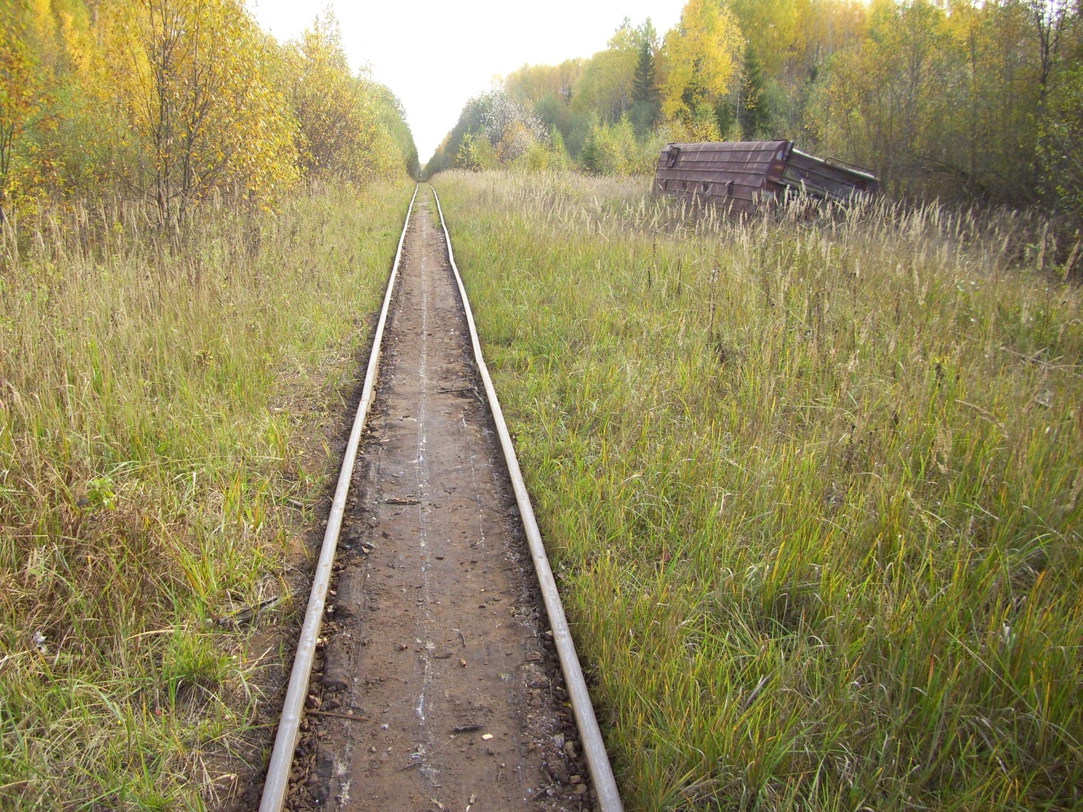 Семигородняя узкоколейная железная дорога
  —  фотографии, сделанные в 2010 году (часть 9)