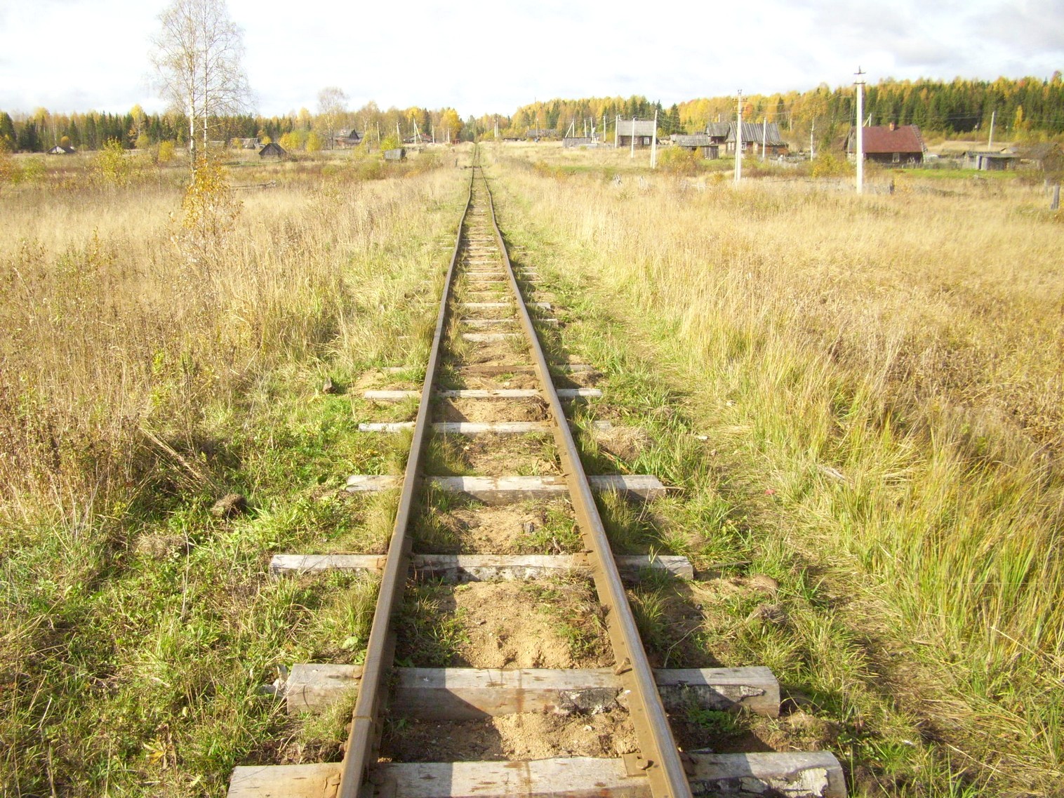 Семигородняя узкоколейная железная дорога
  —  фотографии, сделанные в 2010 году (часть 10)