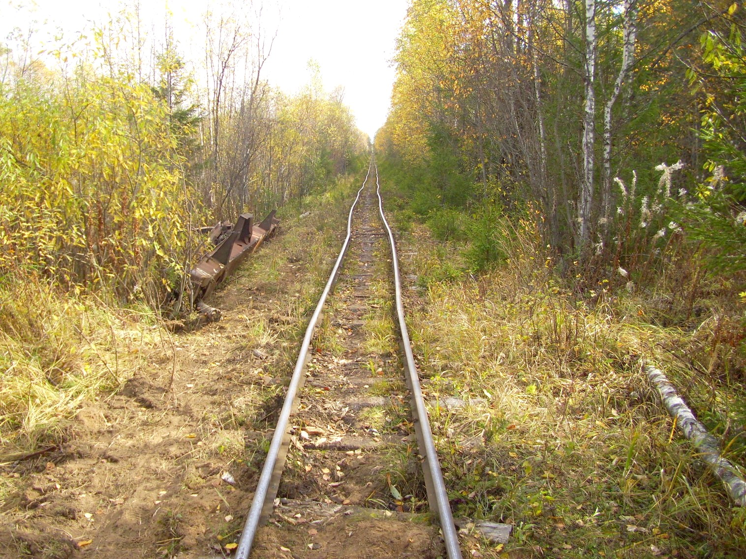 Семигородняя узкоколейная железная дорога
  —  фотографии, сделанные в 2010 году (часть 12)
