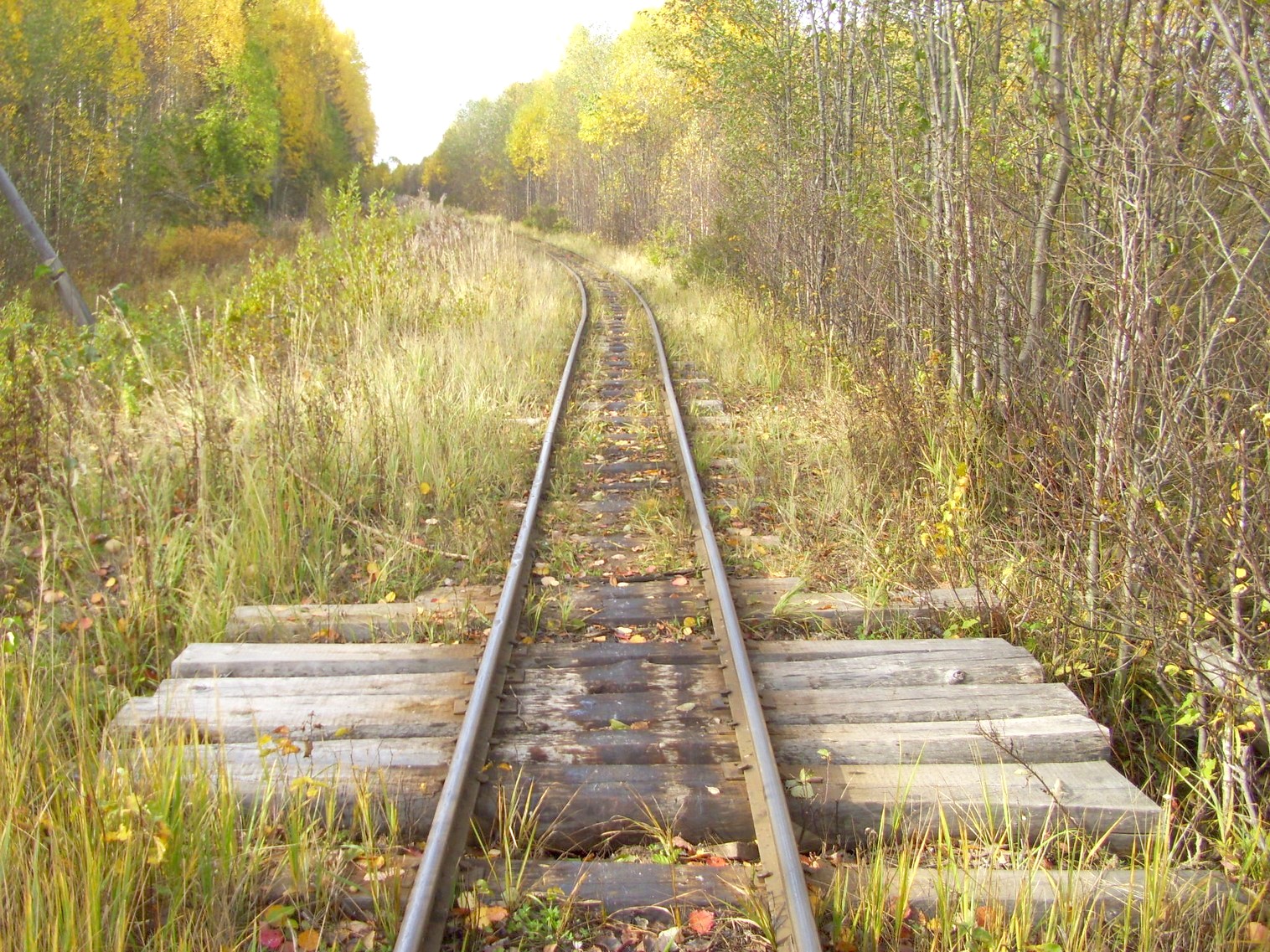 Семигородняя узкоколейная железная дорога
  —  фотографии, сделанные в 2010 году (часть 13)