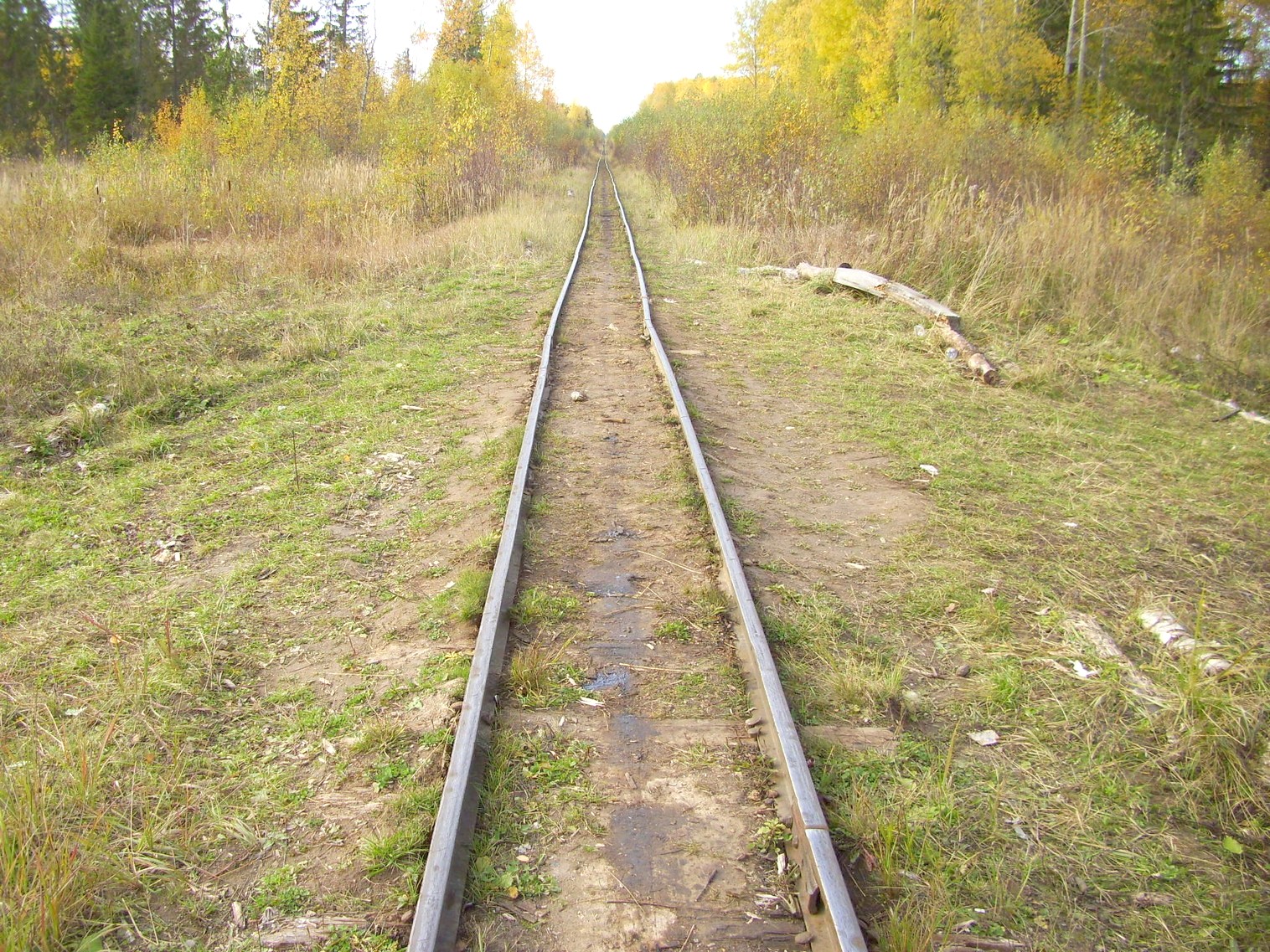 Семигородняя узкоколейная железная дорога
  —  фотографии, сделанные в 2010 году (часть 14)