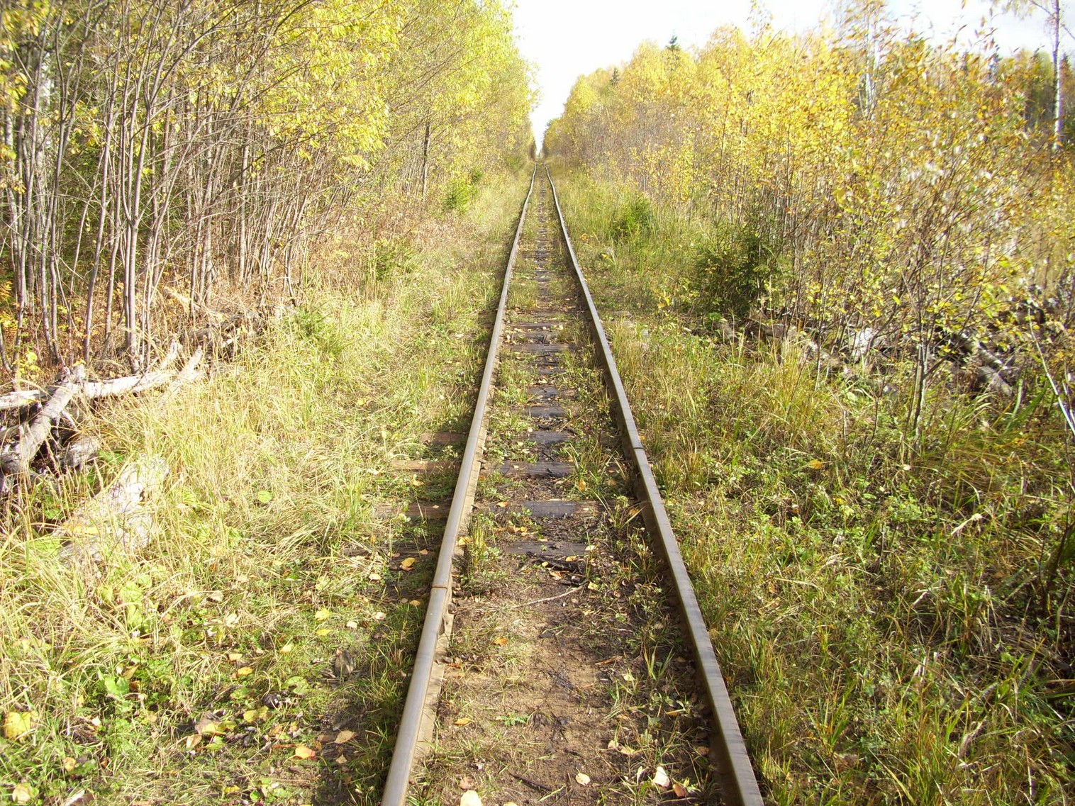 Семигородняя узкоколейная железная дорога
  —  фотографии, сделанные в 2010 году (часть 15)