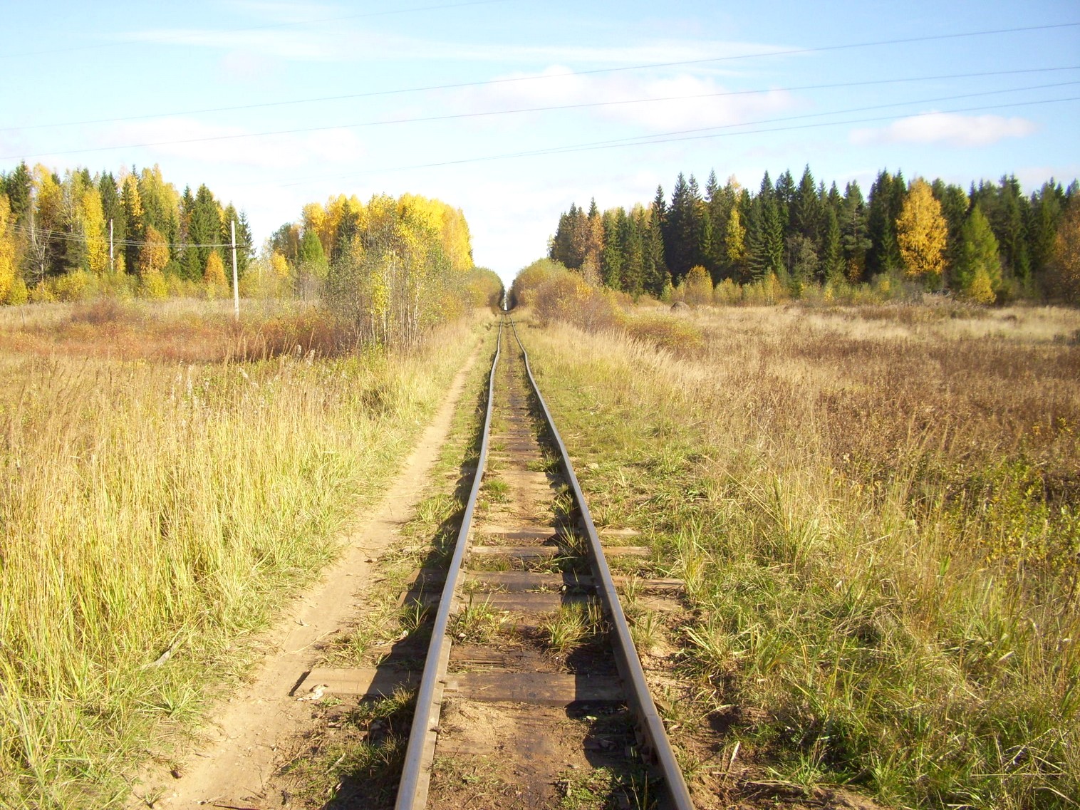 Семигородняя узкоколейная железная дорога
  —  фотографии, сделанные в 2010 году (часть 18)
