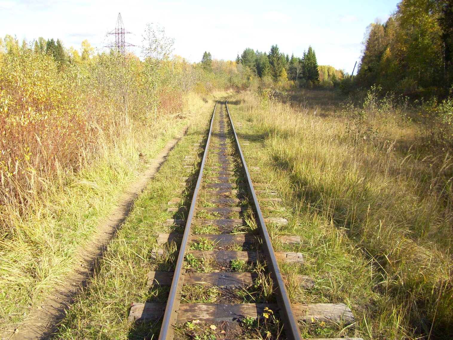 Семигородняя узкоколейная железная дорога
  —  фотографии, сделанные в 2010 году (часть 19)