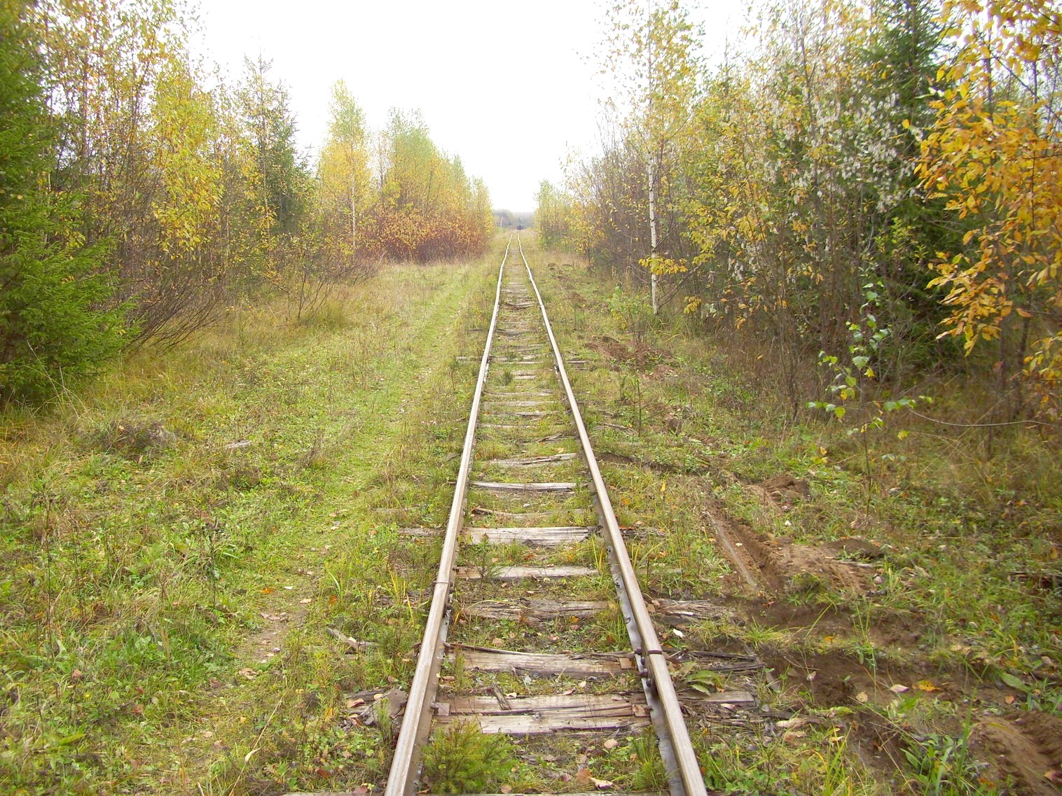 Семигородняя узкоколейная железная дорога
  —  фотографии, сделанные в 2010 году (часть 4)