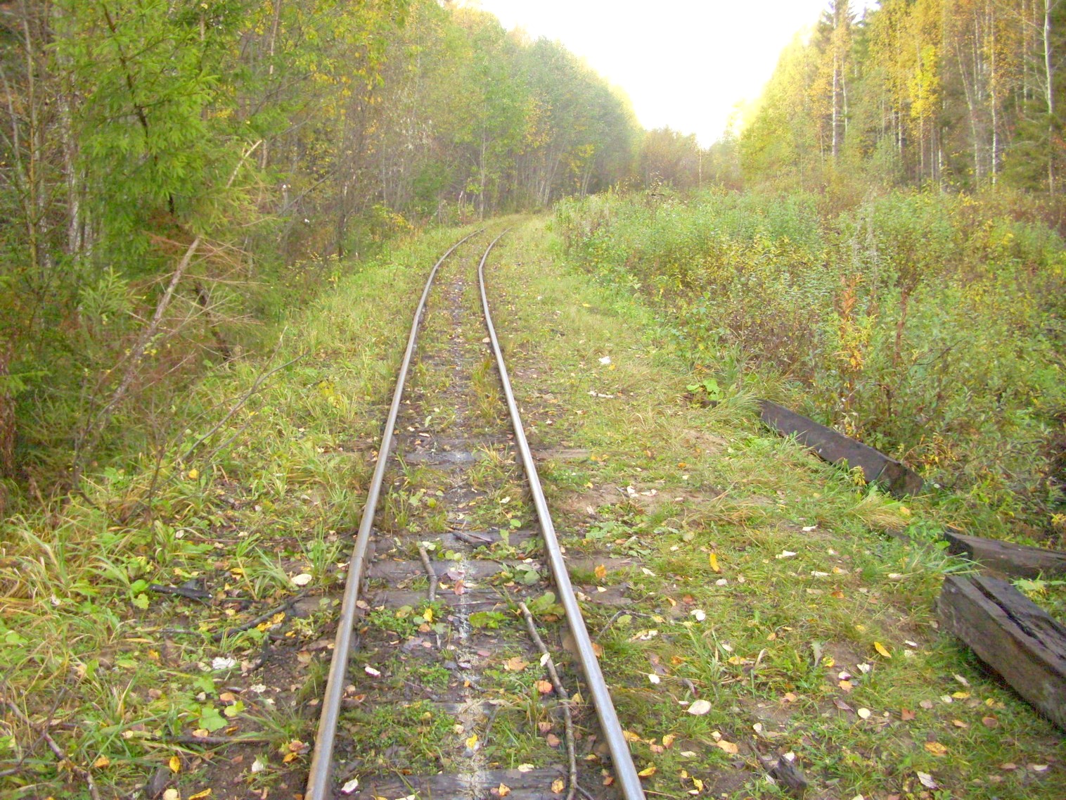 Семигородняя узкоколейная железная дорога
  —  фотографии, сделанные в 2010 году (часть 5)