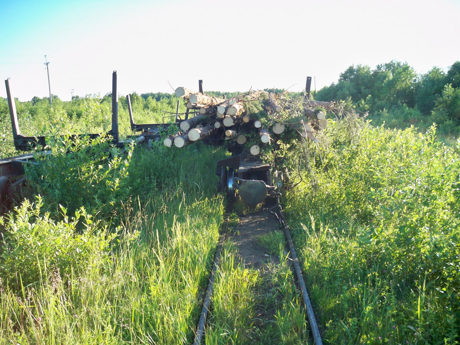 Семигородняя узкоколейная железная дорога
  —  фотографии, сделанные в 2013 году (часть 2)
