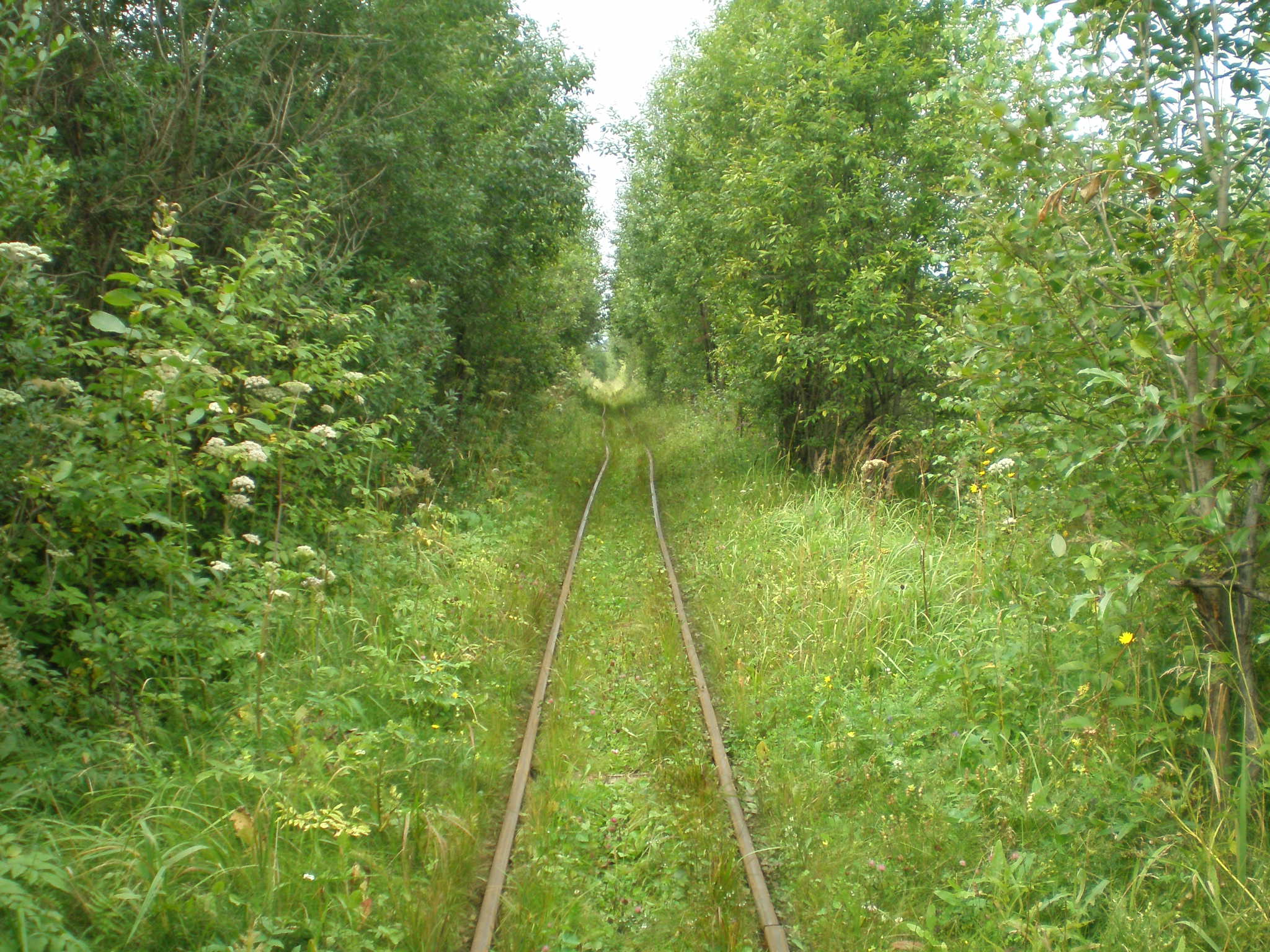 Узкоколейная железная дорога Сокольского целлюлозно-бумажного комбината
  —  фотографии, сделанные в 2008 году (часть 2)