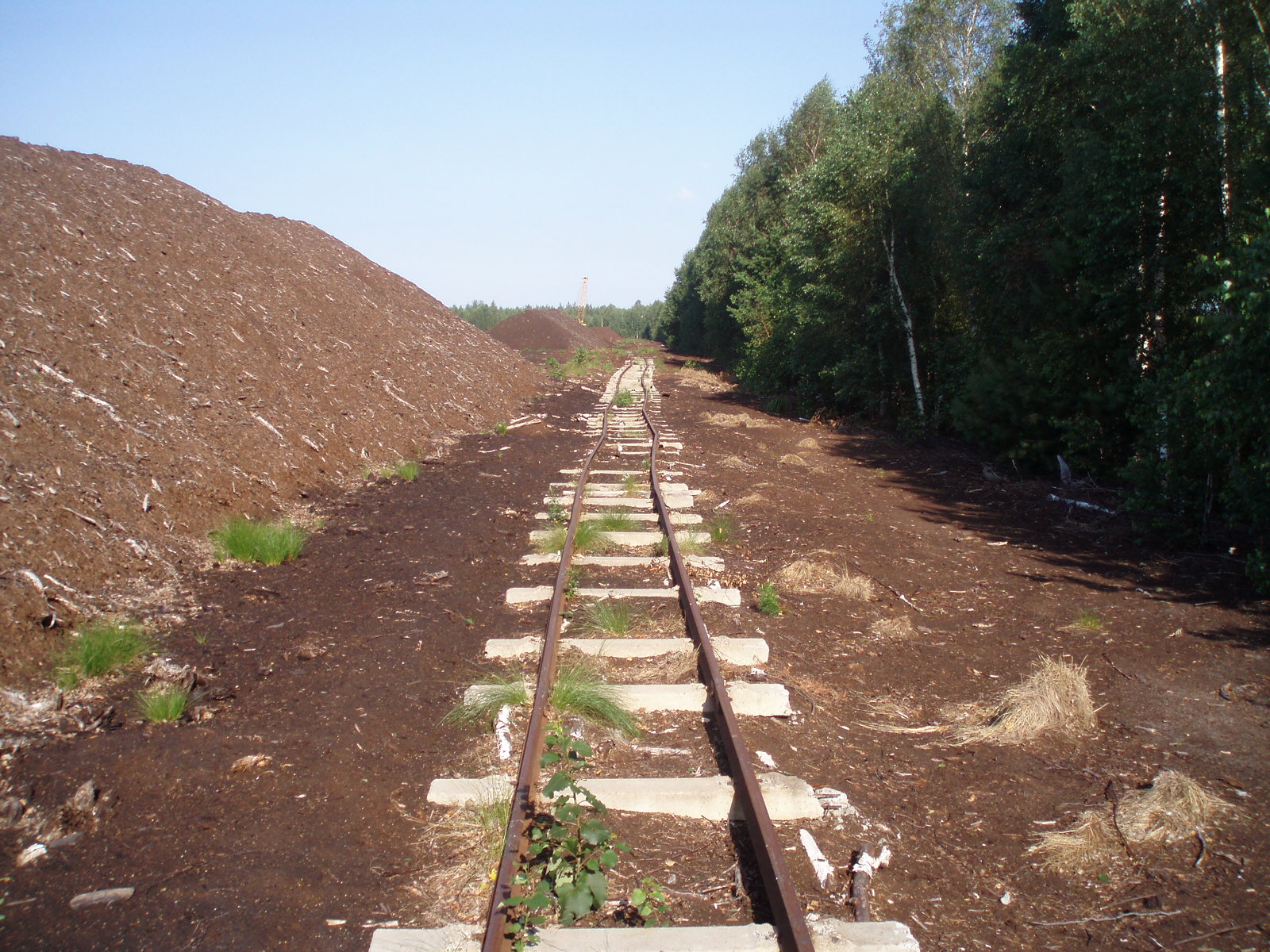 Узкоколейная железная дорога Горьковского предприятия промышленного железнодорожного транспорта — фотографии, сделанные в 2007 году (часть 11)