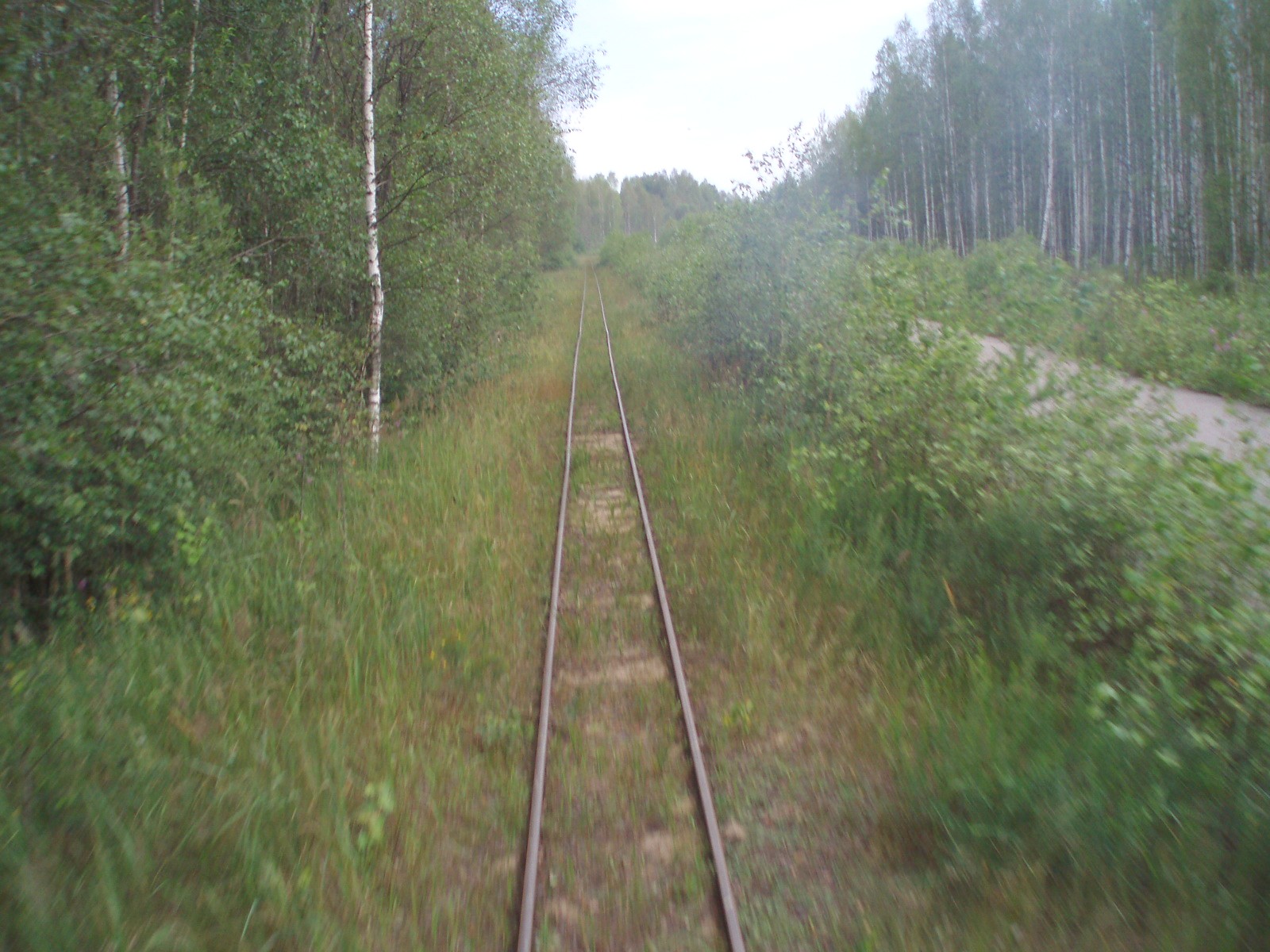 Узкоколейная железная дорога Горьковского предприятия промышленного железнодорожного транспорта — фотографии, сделанные в 2007 году (часть 14)