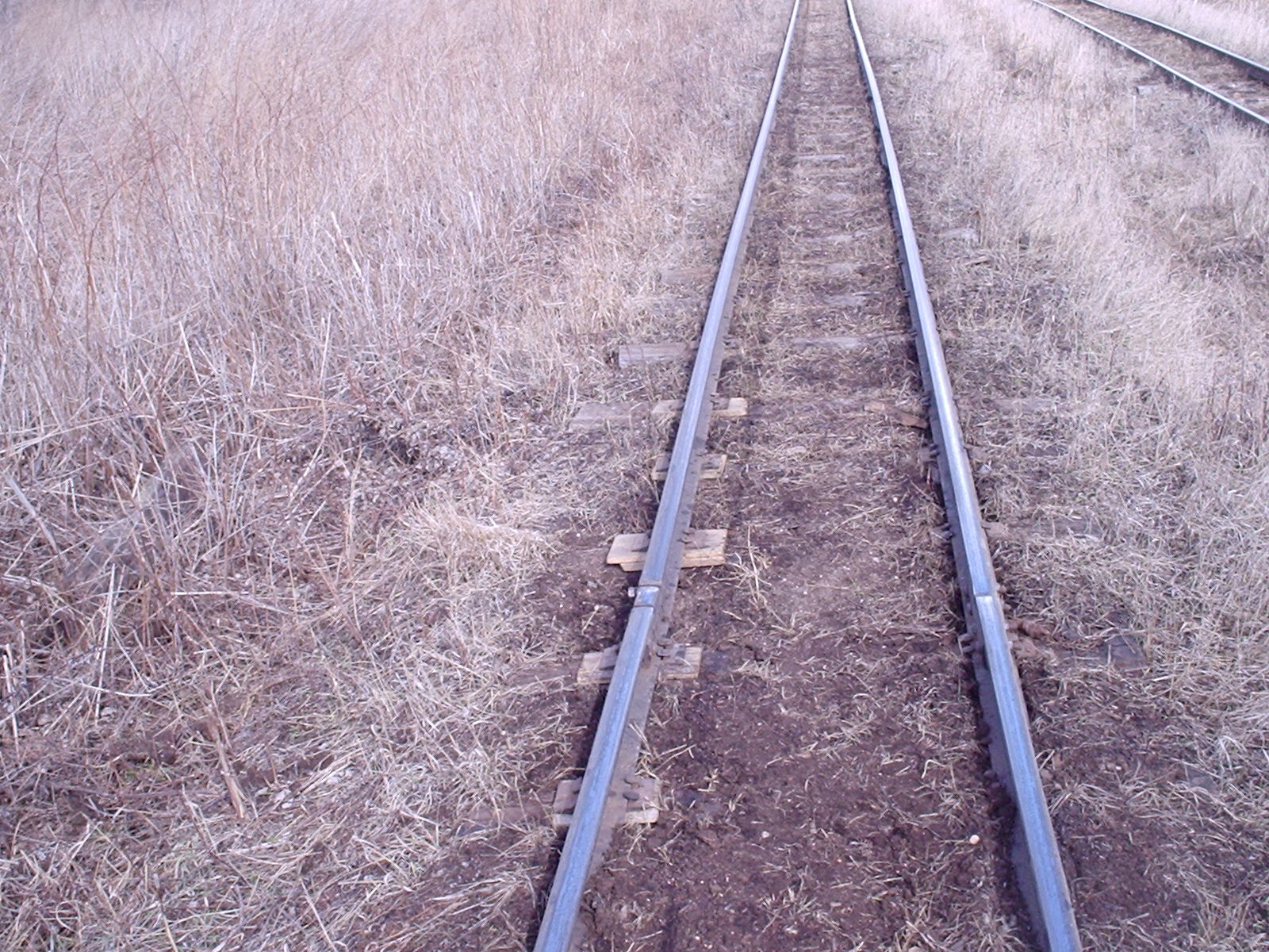 Узкоколейная железная дорога Мокеиха-Зыбинского торфопредприятия — фотографии, сделанные в 2006 году (часть 12)