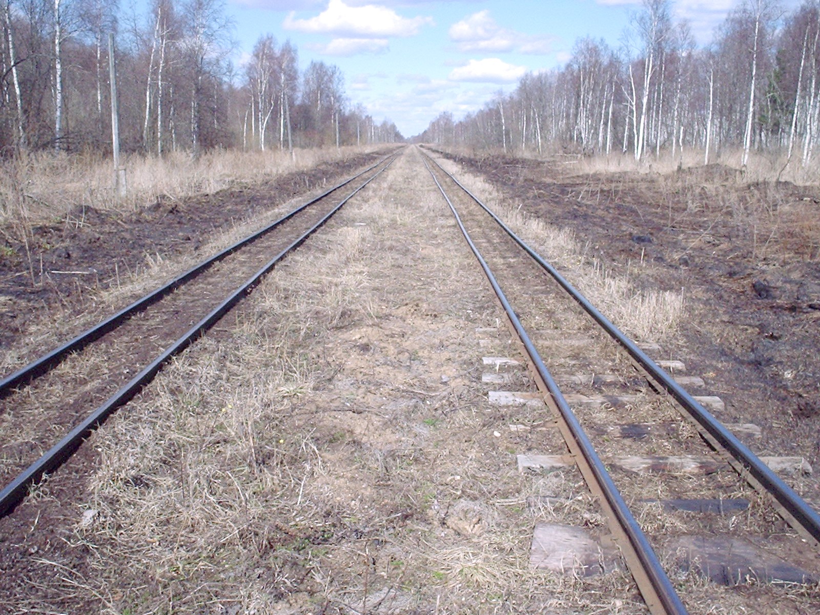 Узкоколейная железная дорога Мокеиха-Зыбинского торфопредприятия — фотографии, сделанные в 2006 году (часть 14)