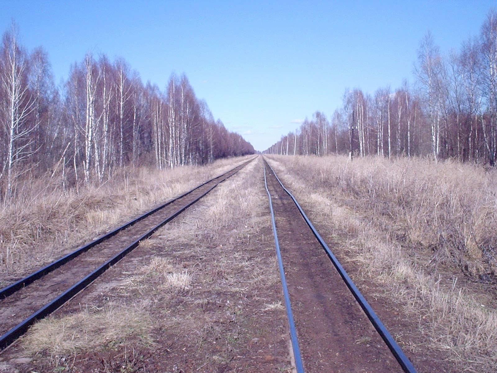 Узкоколейная железная дорога Мокеиха-Зыбинского торфопредприятия — фотографии, сделанные в 2006 году (часть 18)