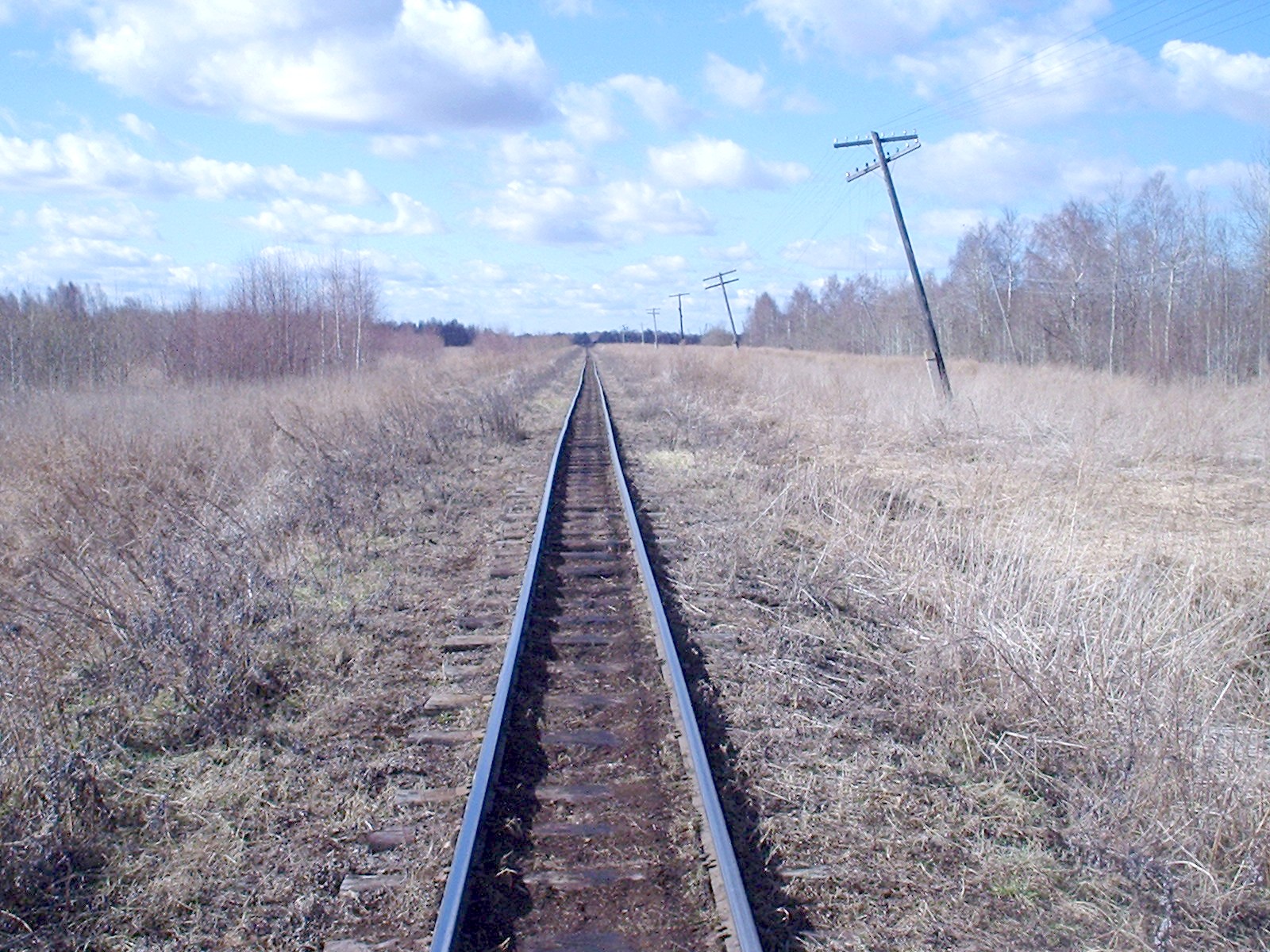 Узкоколейная железная дорога Мокеиха-Зыбинского торфопредприятия — фотографии, сделанные в 2006 году (часть 5)