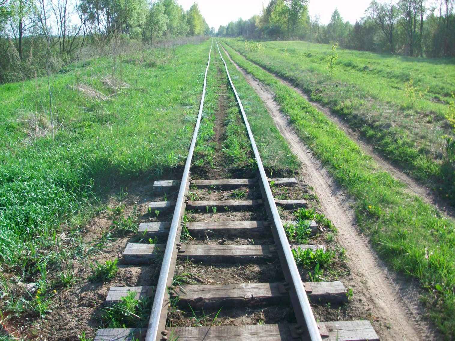 Узкоколейная железная дорога Мокеиха-Зыбинского торфопредприятия
  —  фотографии, сделанные в 2014 году (часть 8)