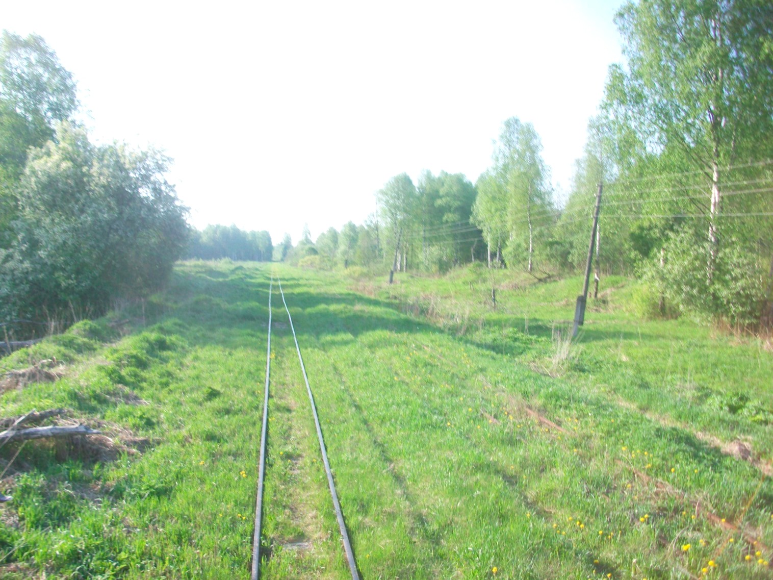 Узкоколейная железная дорога Мокеиха-Зыбинского торфопредприятия
  —  фотографии, сделанные в 2014 году (часть 9)