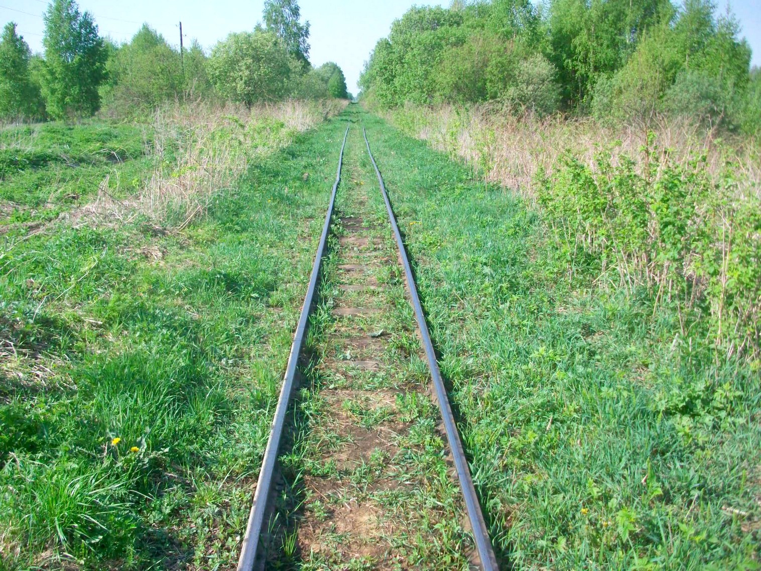 Узкоколейная железная дорога Мокеиха-Зыбинского торфопредприятия
  —  фотографии, сделанные в 2014 году (часть 11)