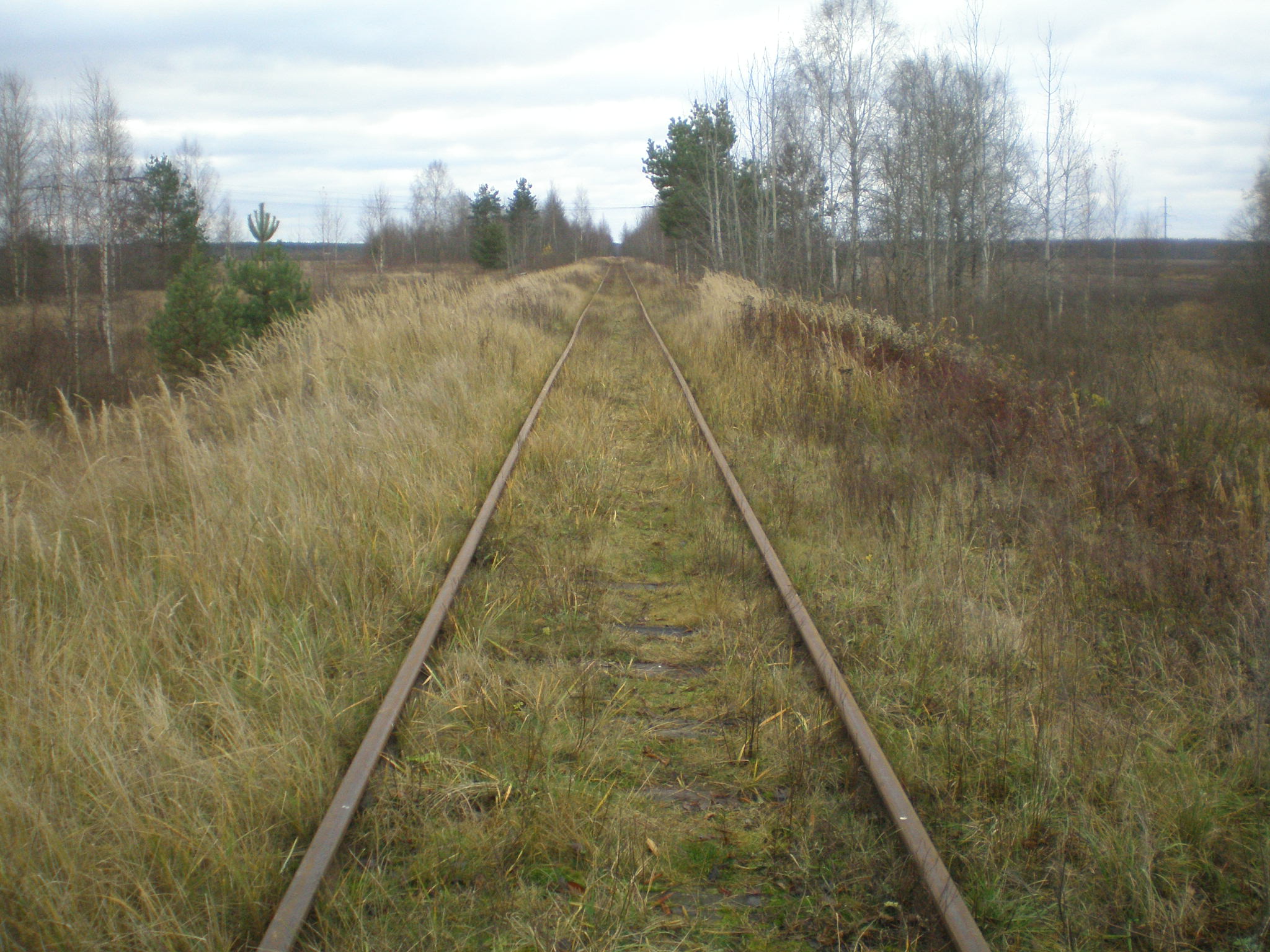 Железнодорожная линия Кривандино — Мишеронь  —  фотографии, сделанные в 2008 году (часть 7)