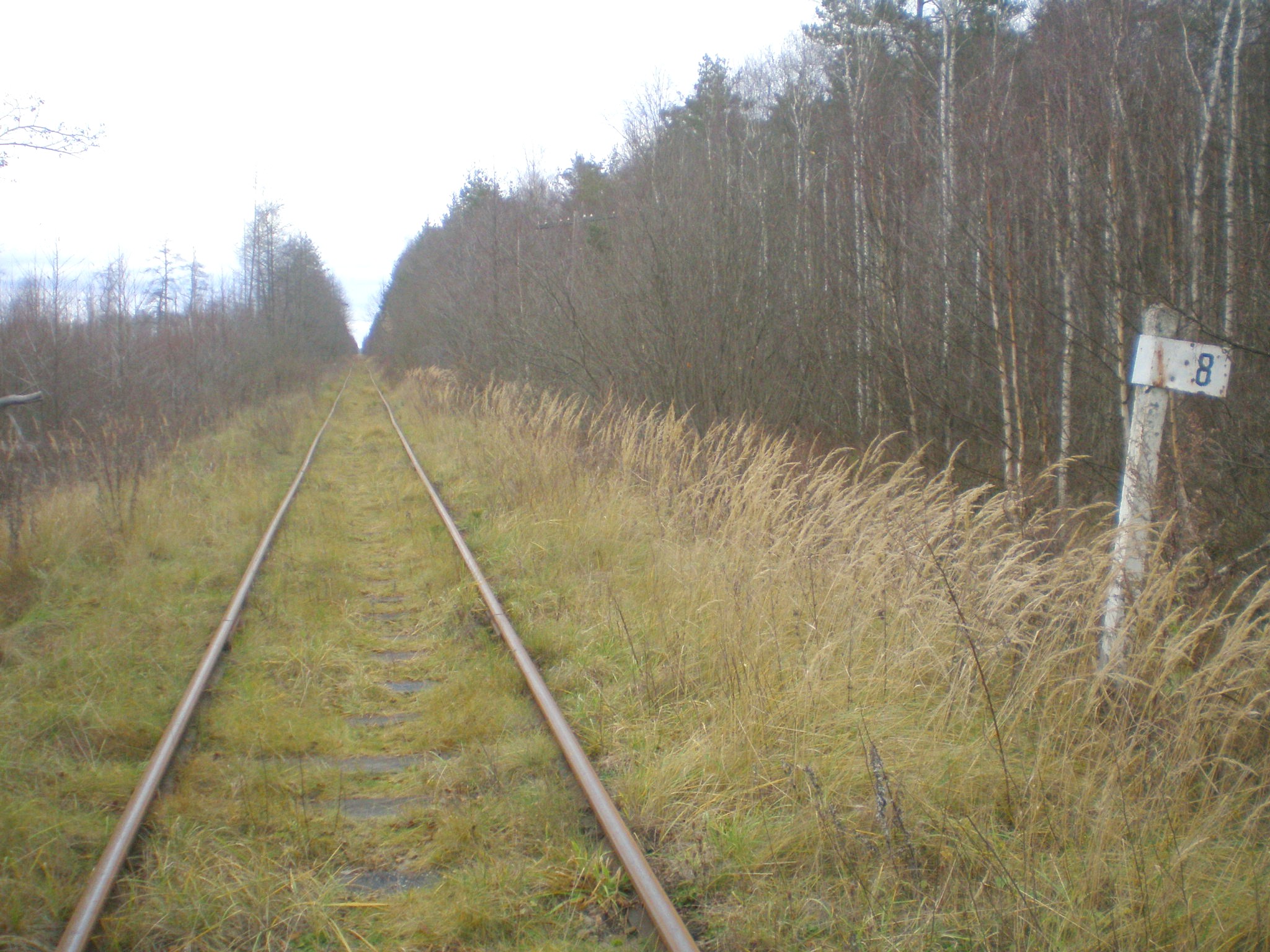 Железнодорожная линия Кривандино — Мишеронь  —  фотографии, сделанные в 2008 году (часть 9)
