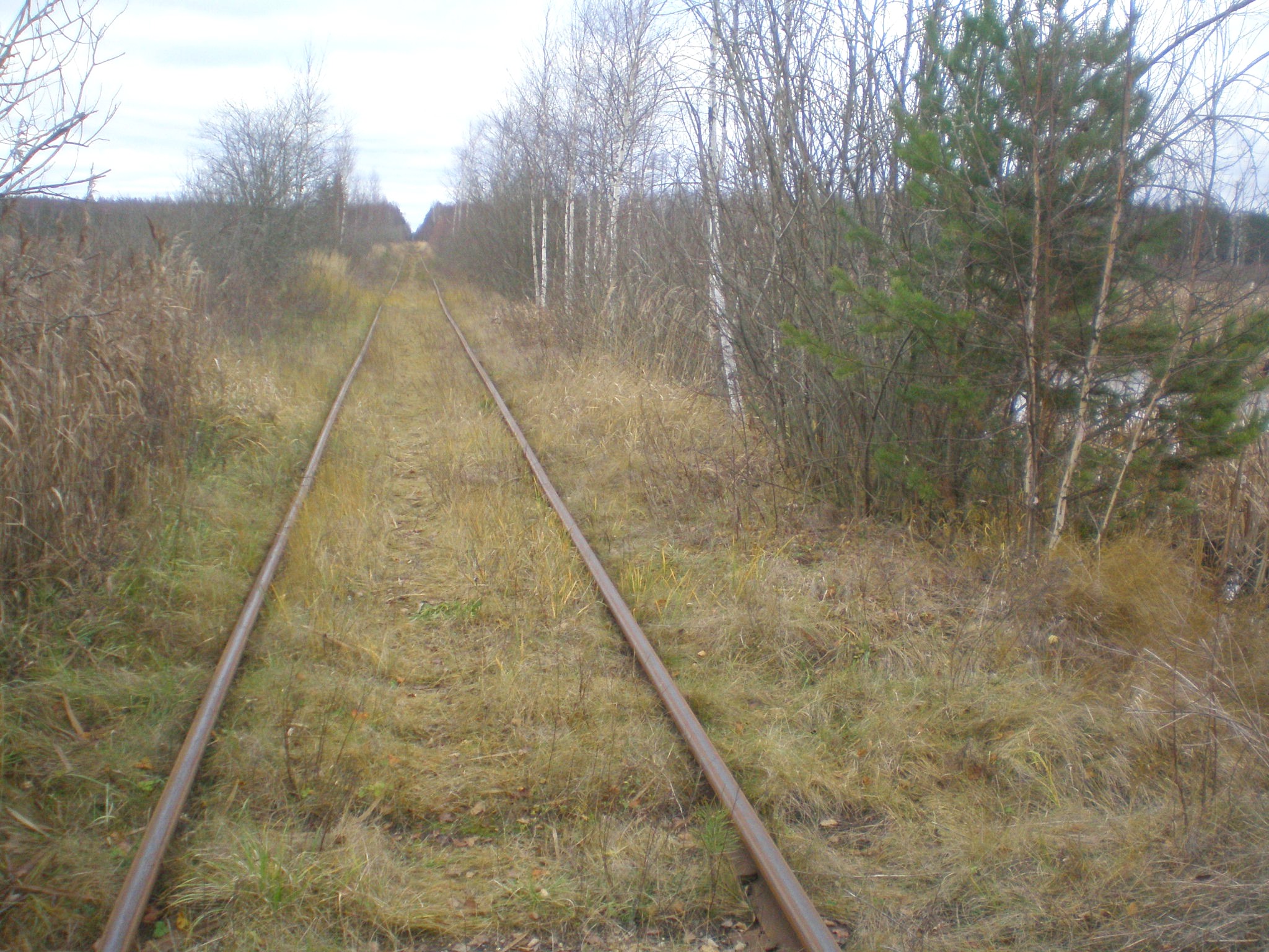 Железнодорожная линия Кривандино — Мишеронь  —  фотографии, сделанные в 2008 году (часть 10)