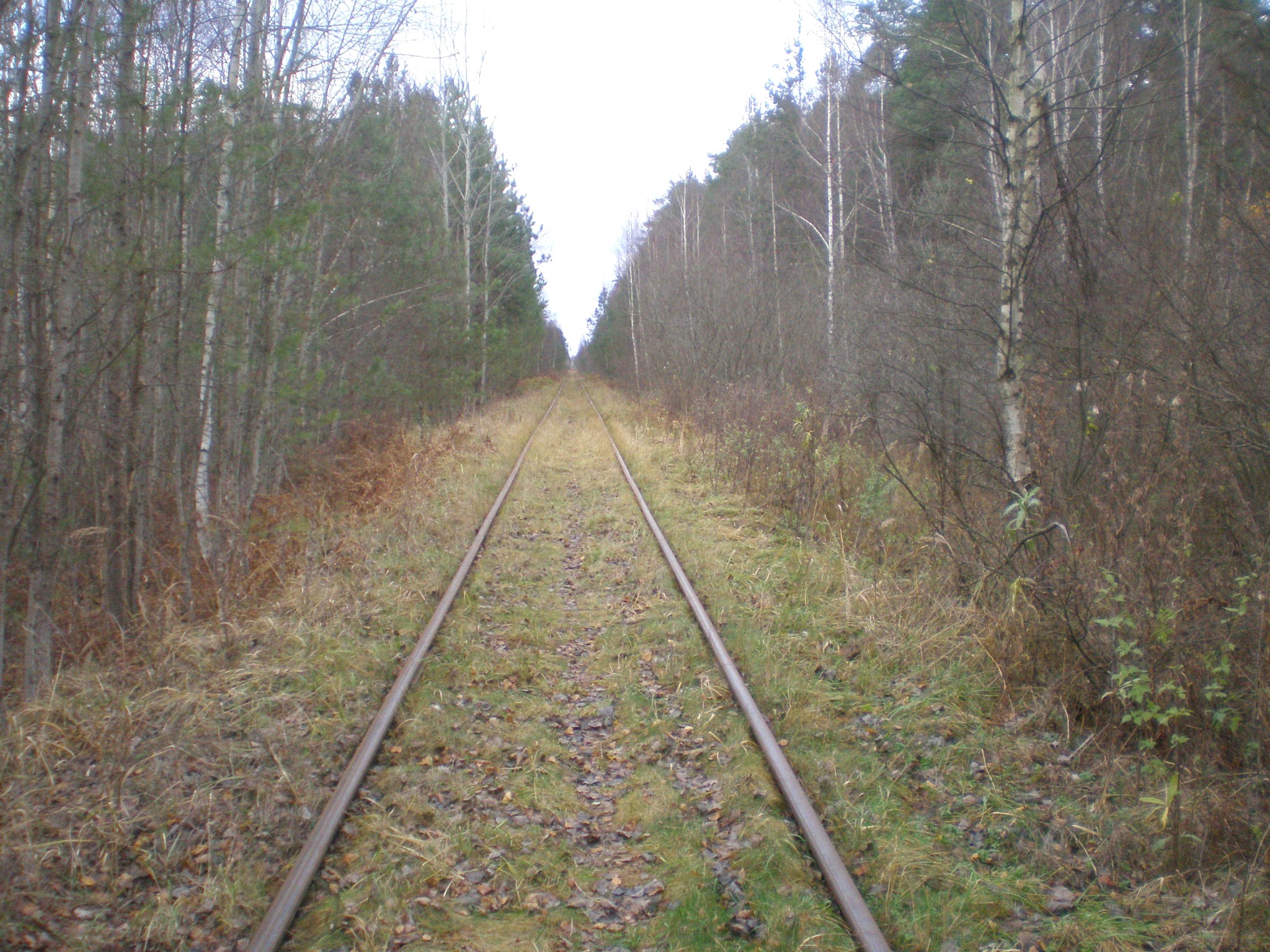 Железнодорожная линия Кривандино — Мишеронь  —  фотографии, сделанные в 2008 году (часть 11)