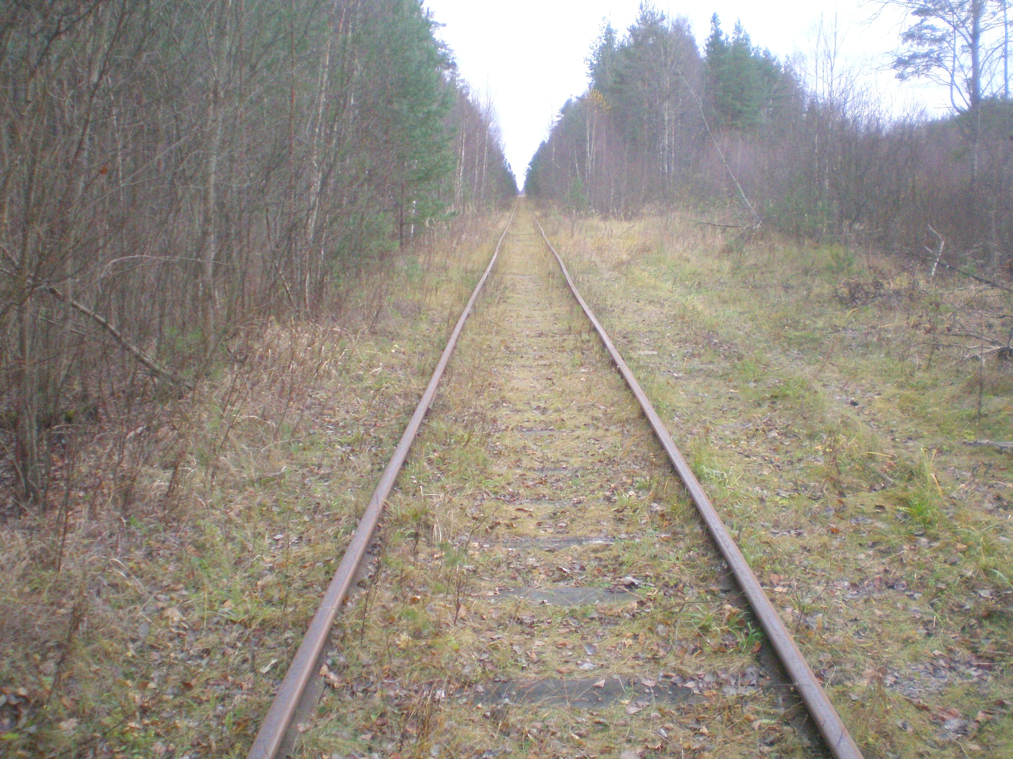 Железнодорожная линия Кривандино — Мишеронь  —  фотографии, сделанные в 2008 году (часть 12)
