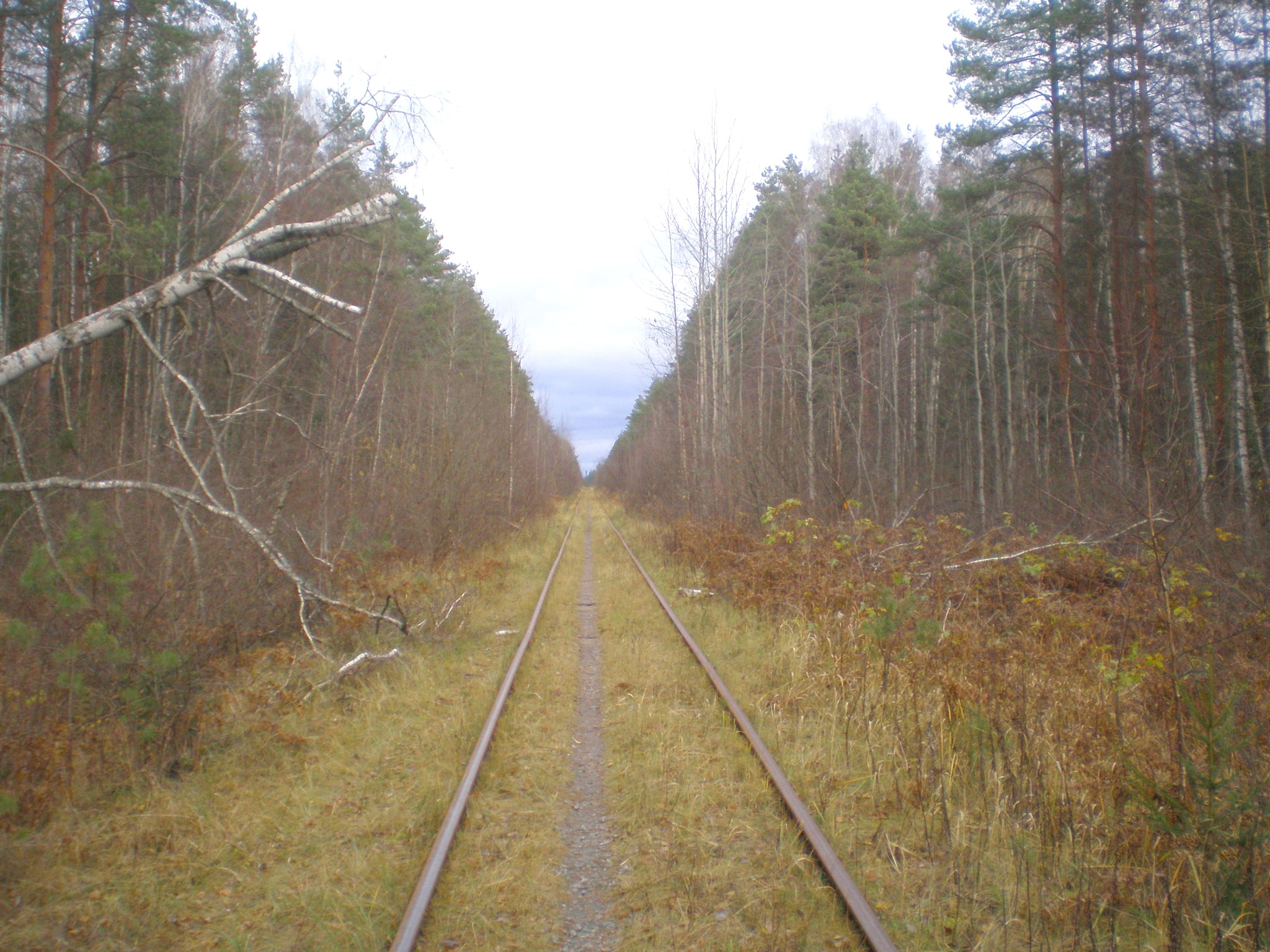Железнодорожная линия Кривандино — Мишеронь  —  фотографии, сделанные в 2008 году (часть 15)