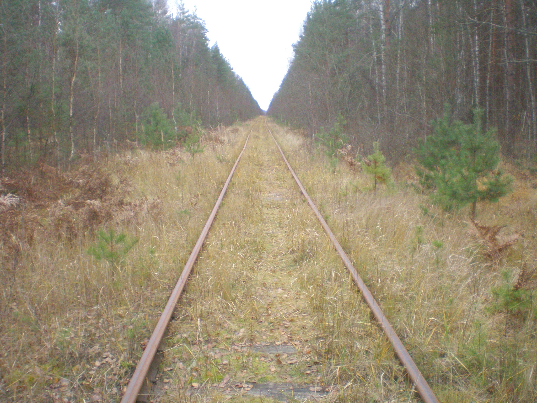 Железнодорожная линия Кривандино — Мишеронь  —  фотографии, сделанные в 2008 году (часть 16)