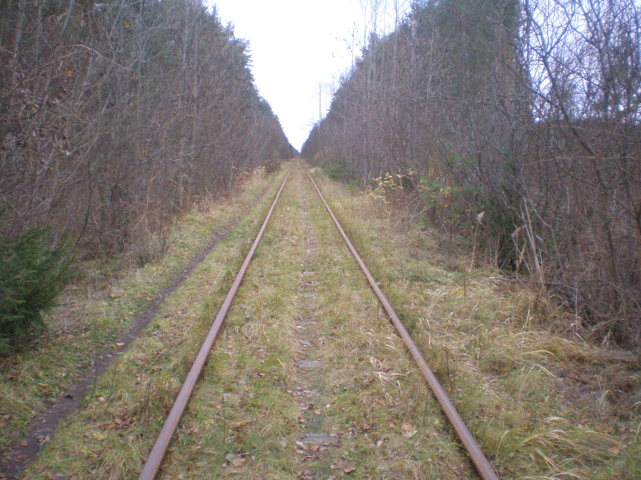 Железнодорожная линия Кривандино — Мишеронь  —  фотографии, сделанные в 2008 году (часть 17)